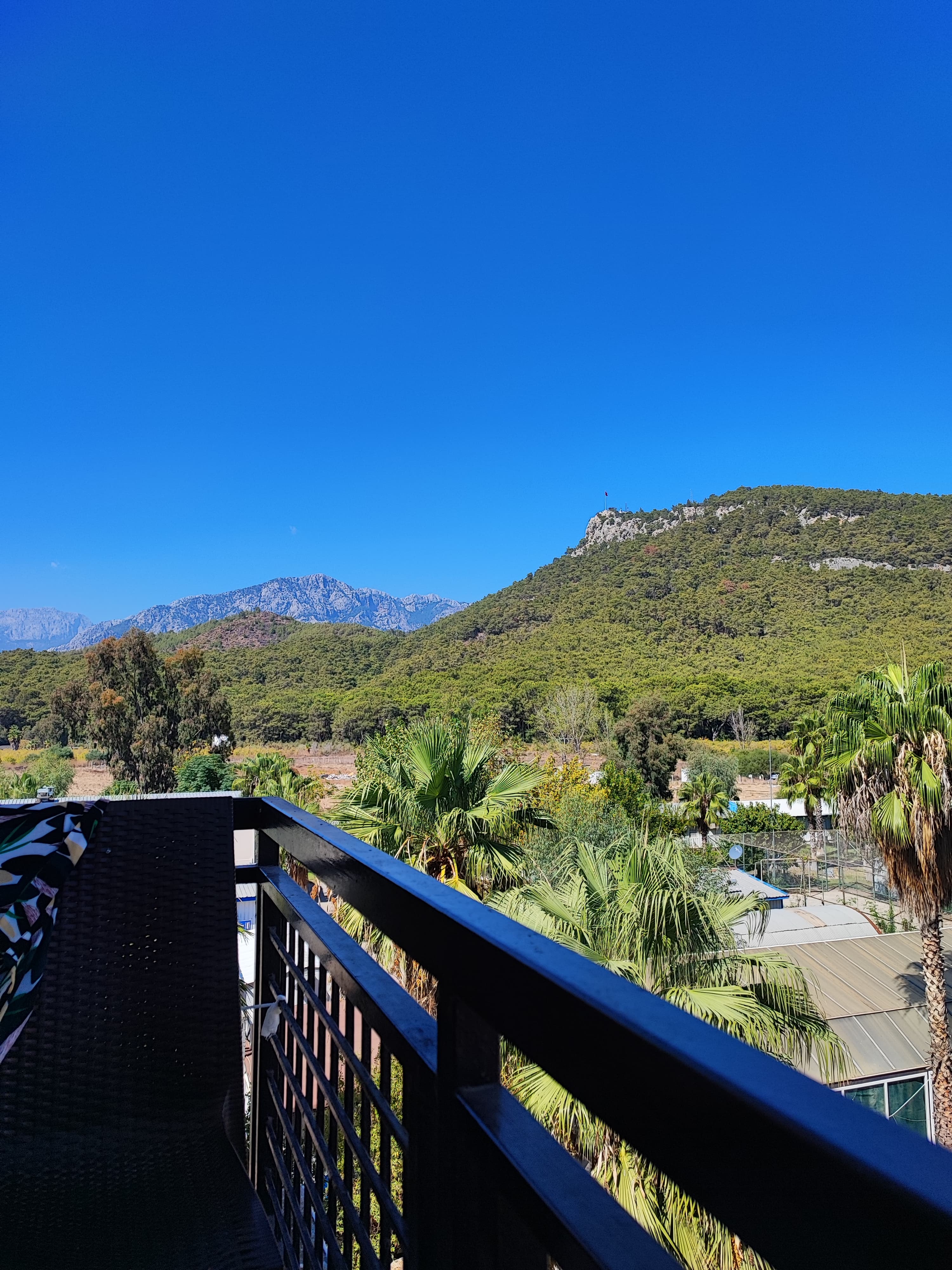 Malibu Resort Hotel - photo 10
