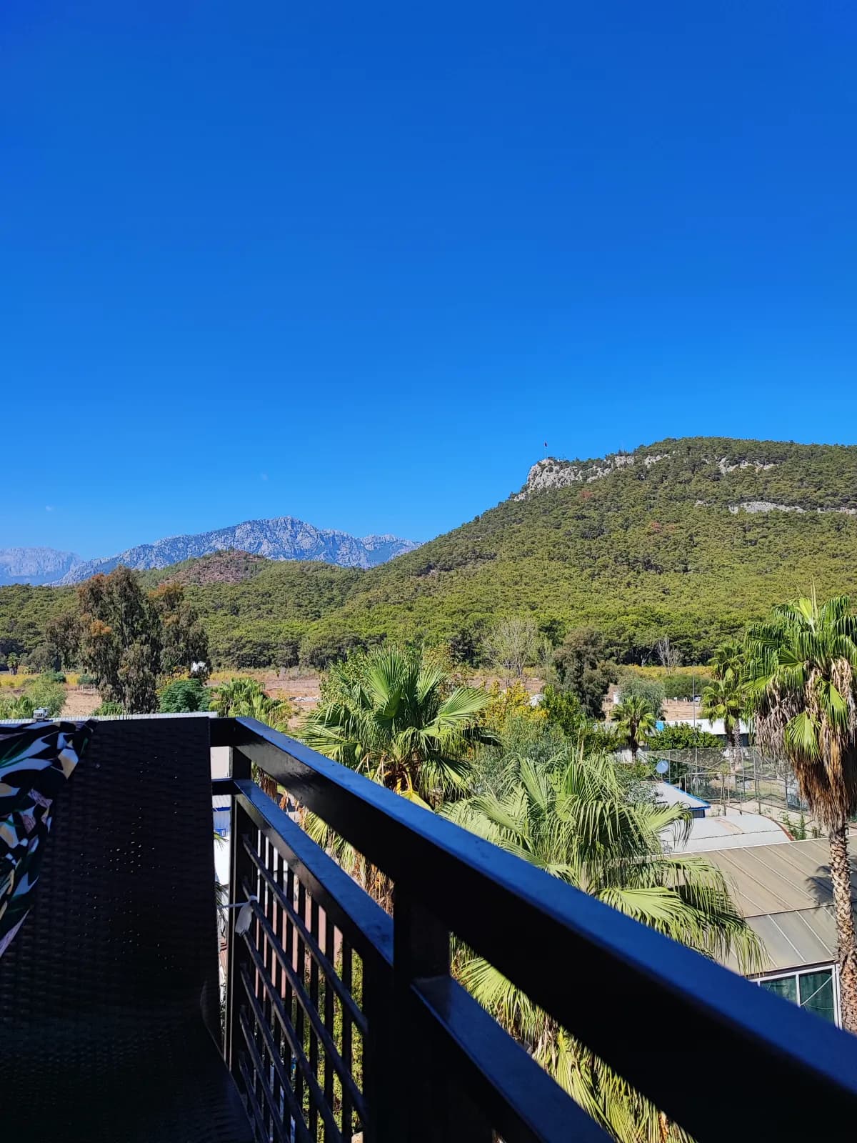 Malibu Resort Hotel - photo 10