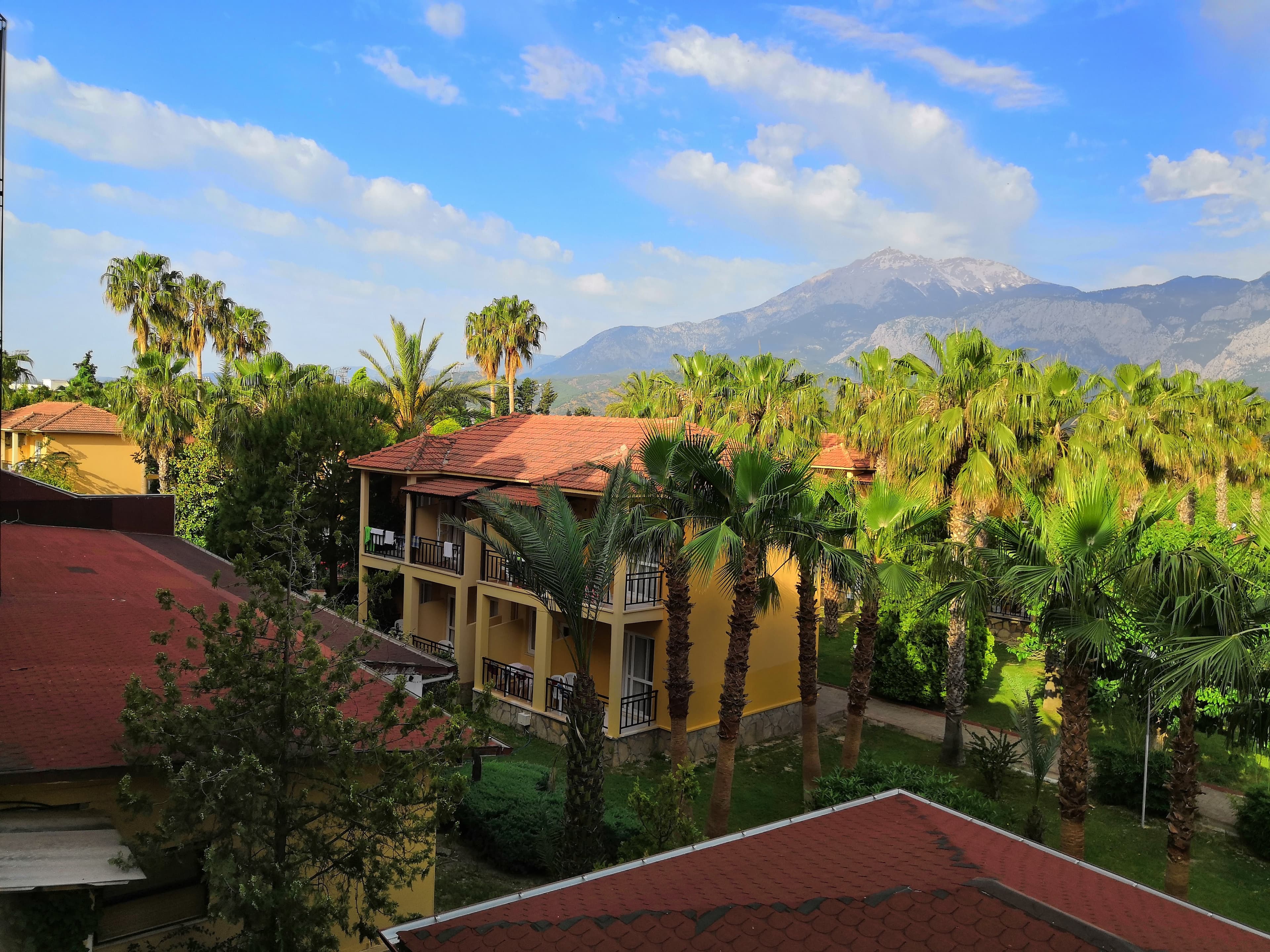Seker Resort Hotel - photo 6