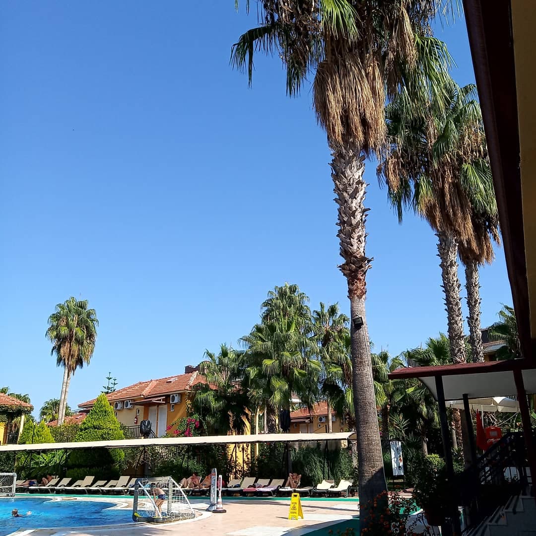 Seker Resort Hotel - photo 7