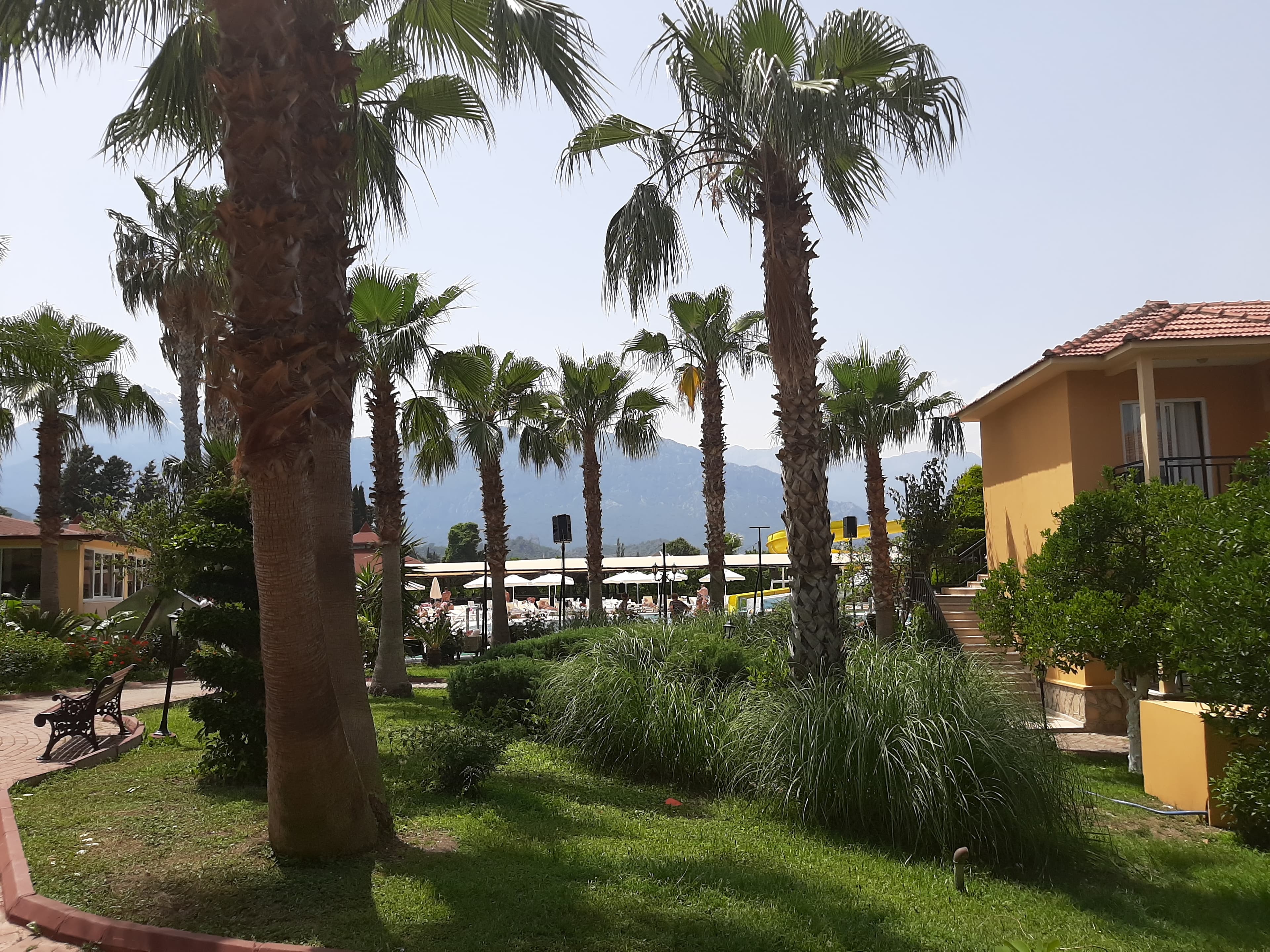 Seker Resort Hotel - photo 10