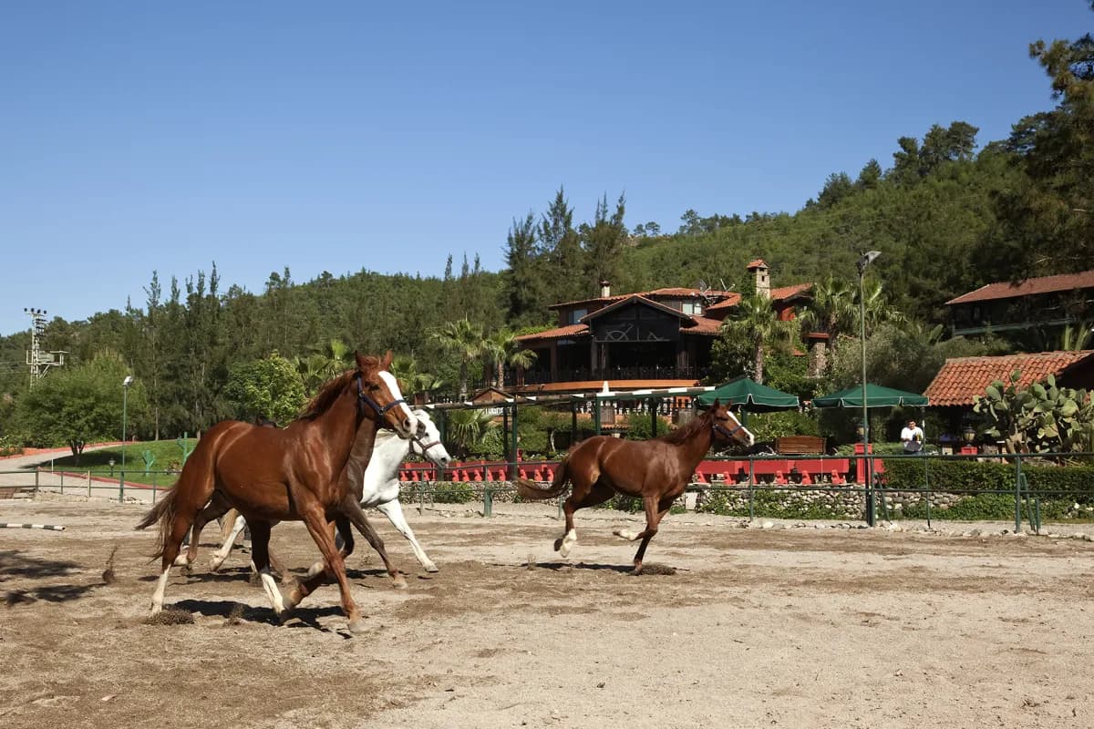 BESO Hotel Berke Ranch and Nature - photo 4