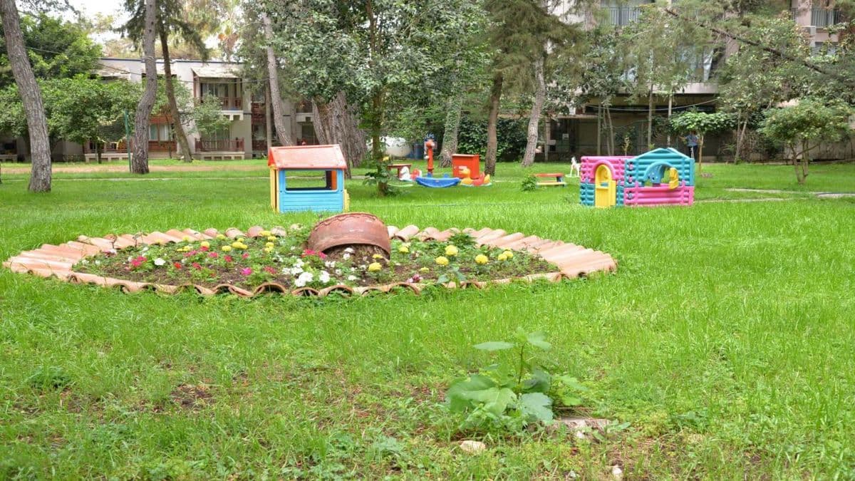 Festival Nature Hotel - photo 7
