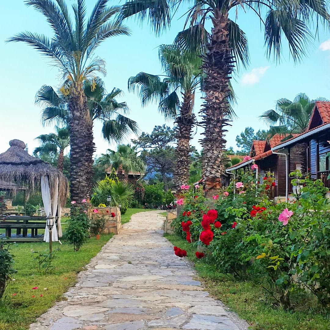Club Sun Village - photo 7