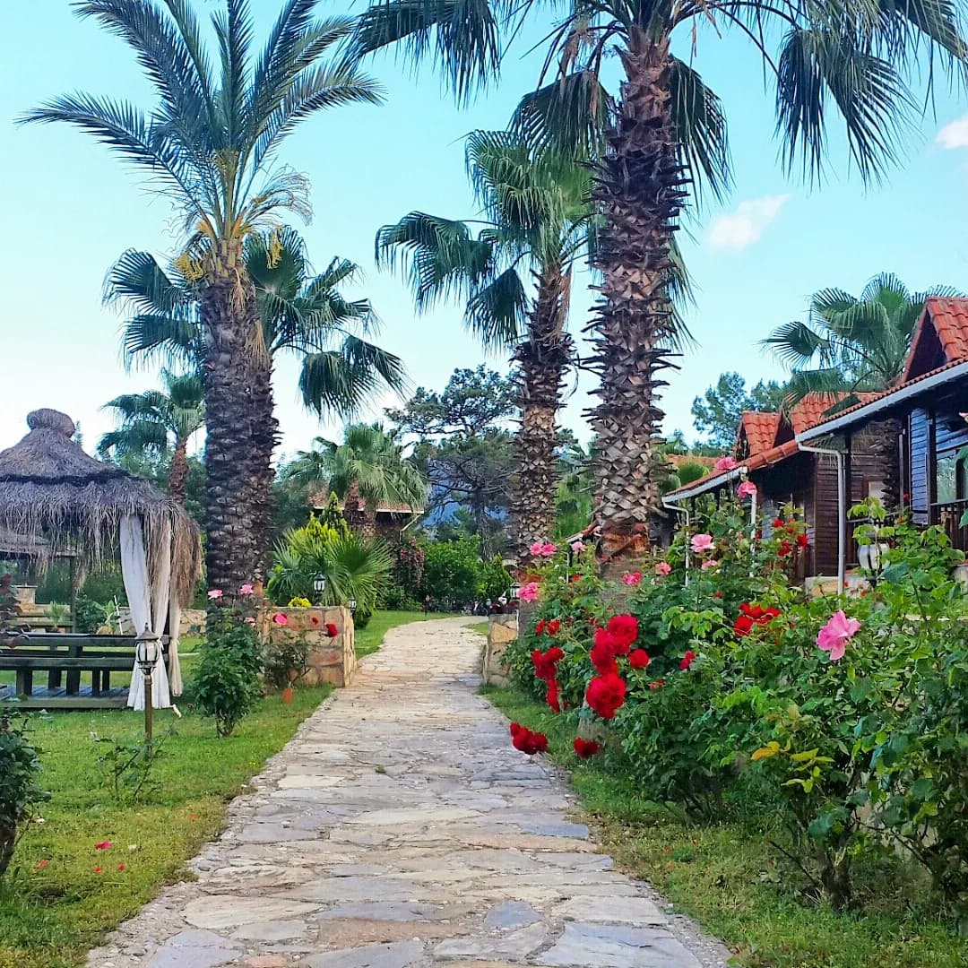 Club Sun Village - photo 7