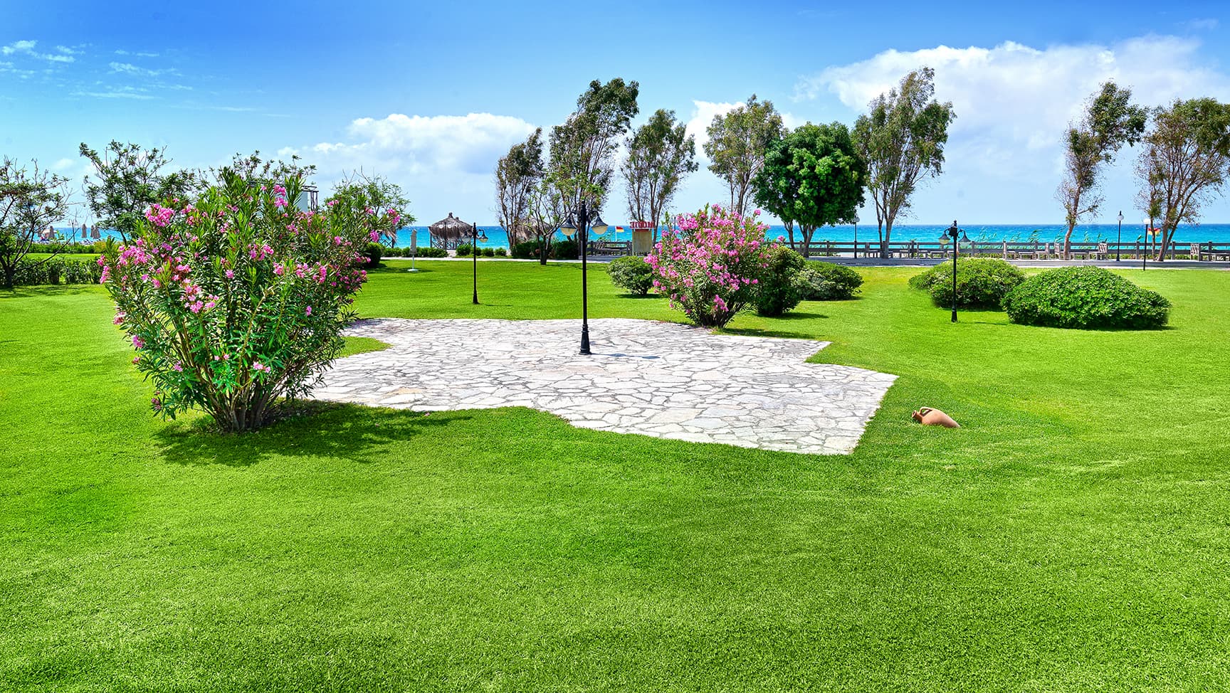 Starlight Resort Hotel - photo 9