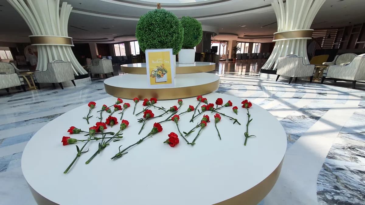 Calido Maris Hotel - photo 6