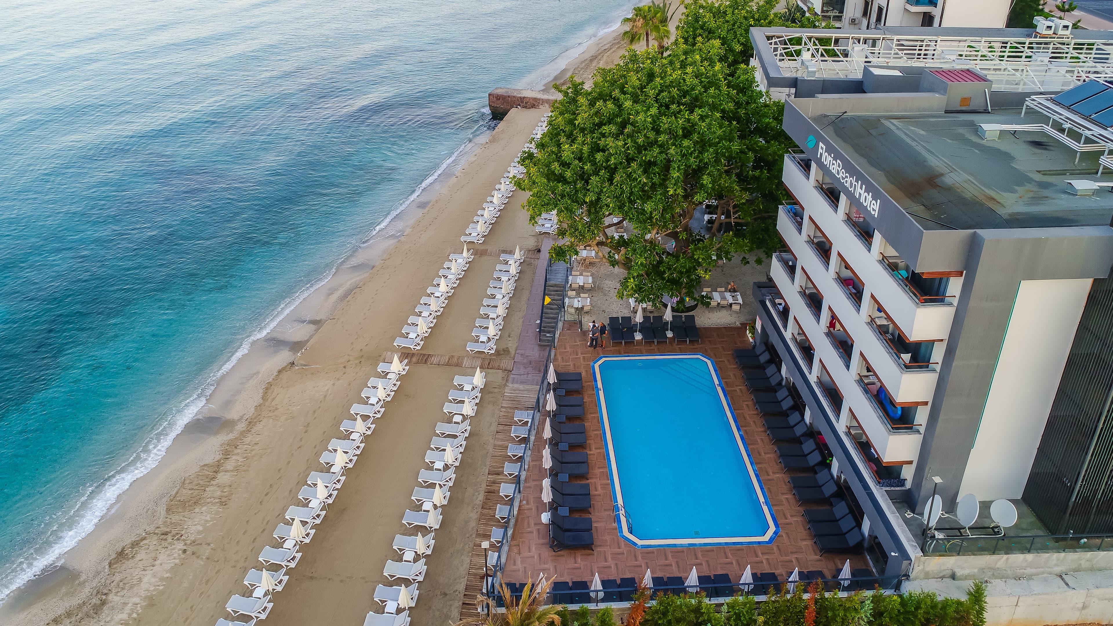 Floria Beach Hotel - photo 5