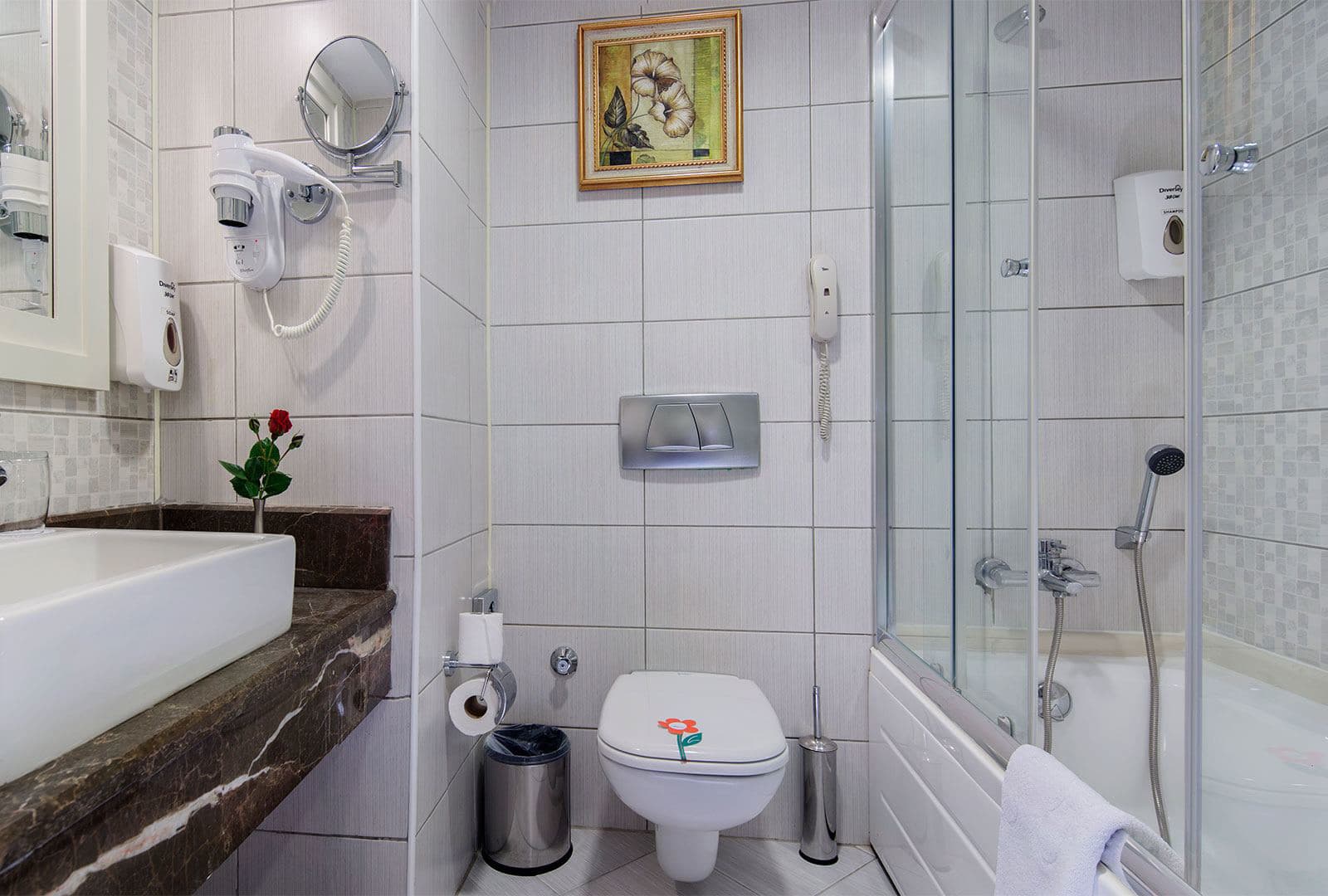 Alba Queen Hotel - photo 4