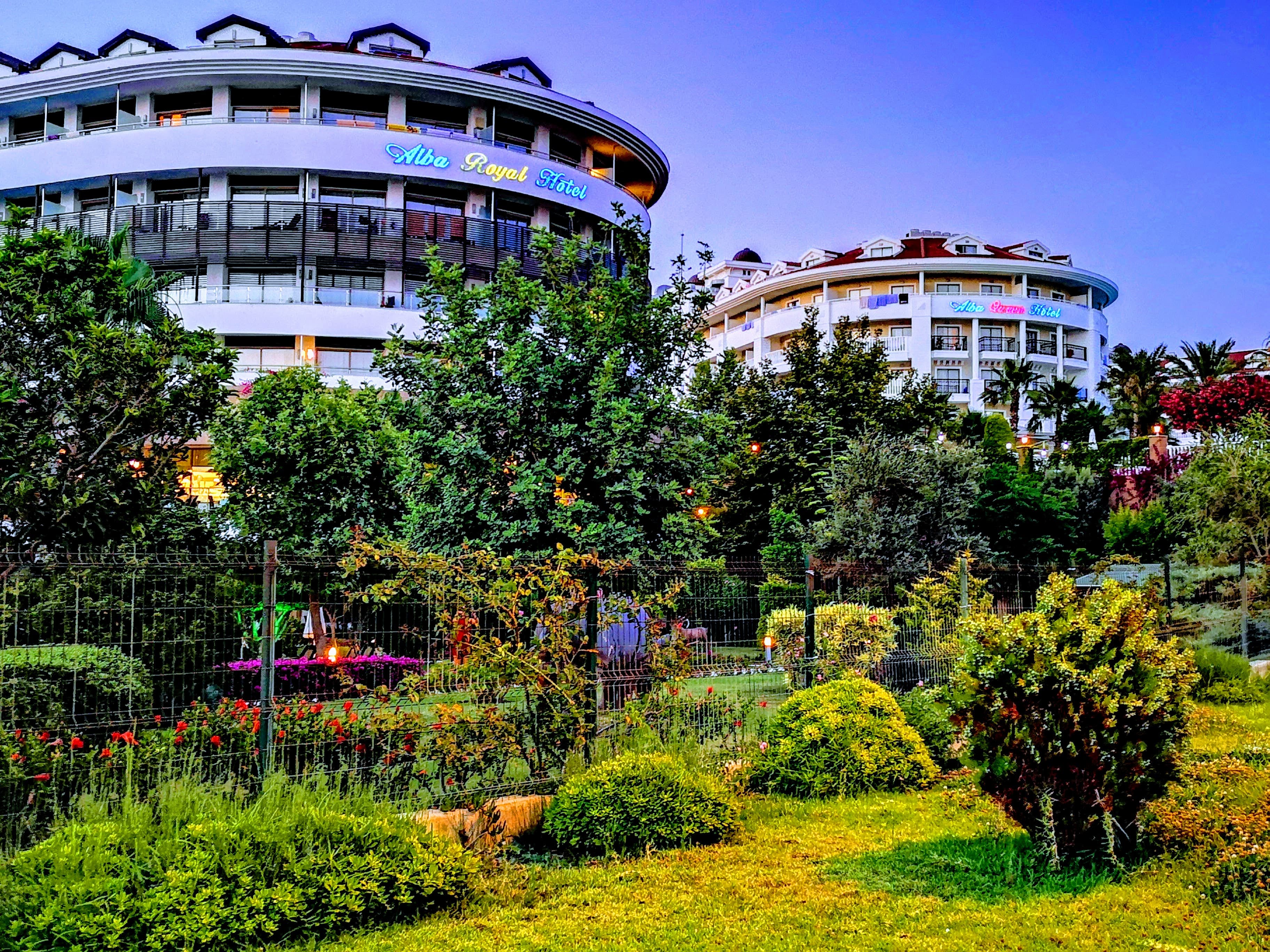 Alba Queen Hotel - photo 9