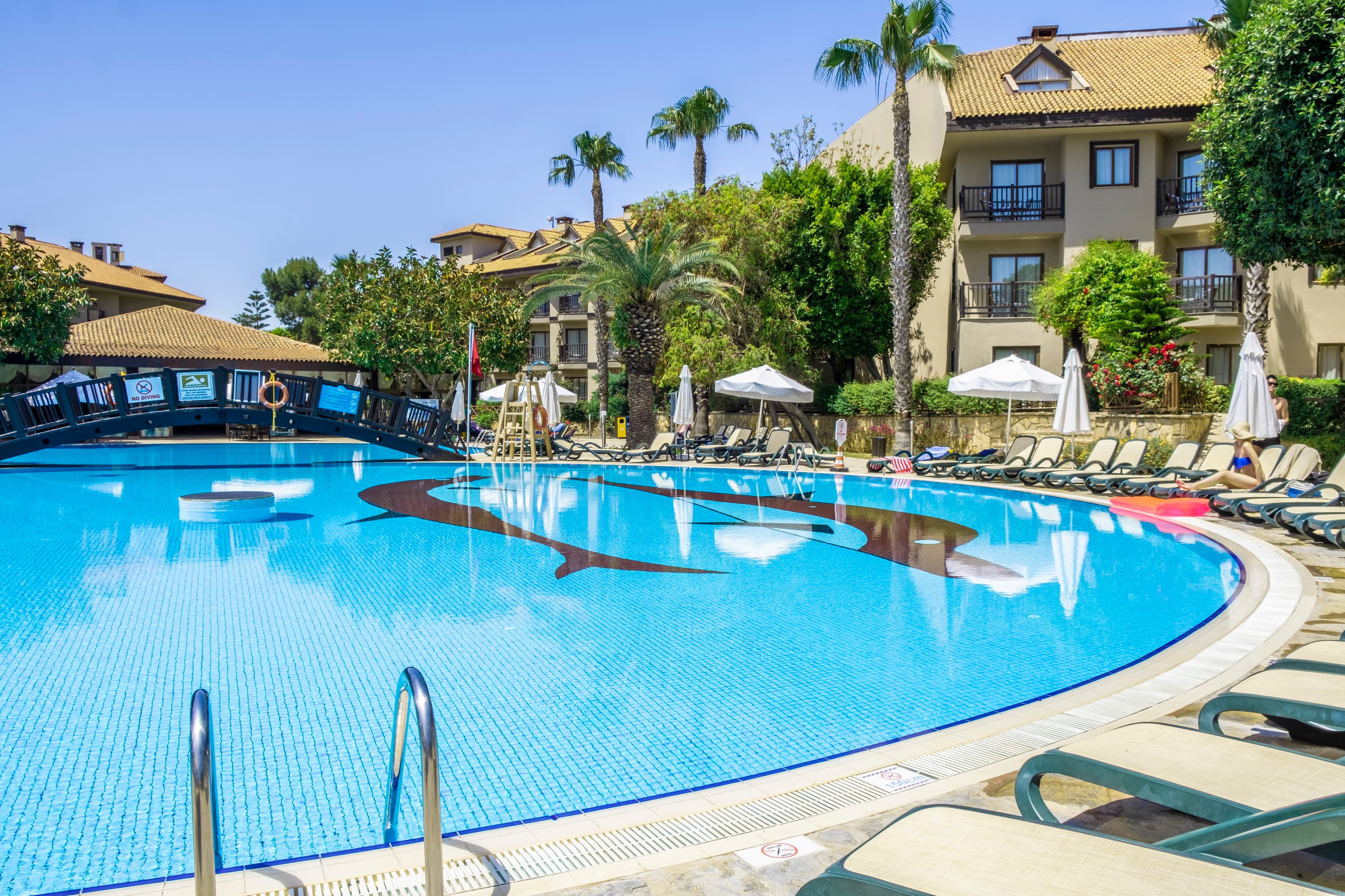 Alba Resort Hotel - photo 9