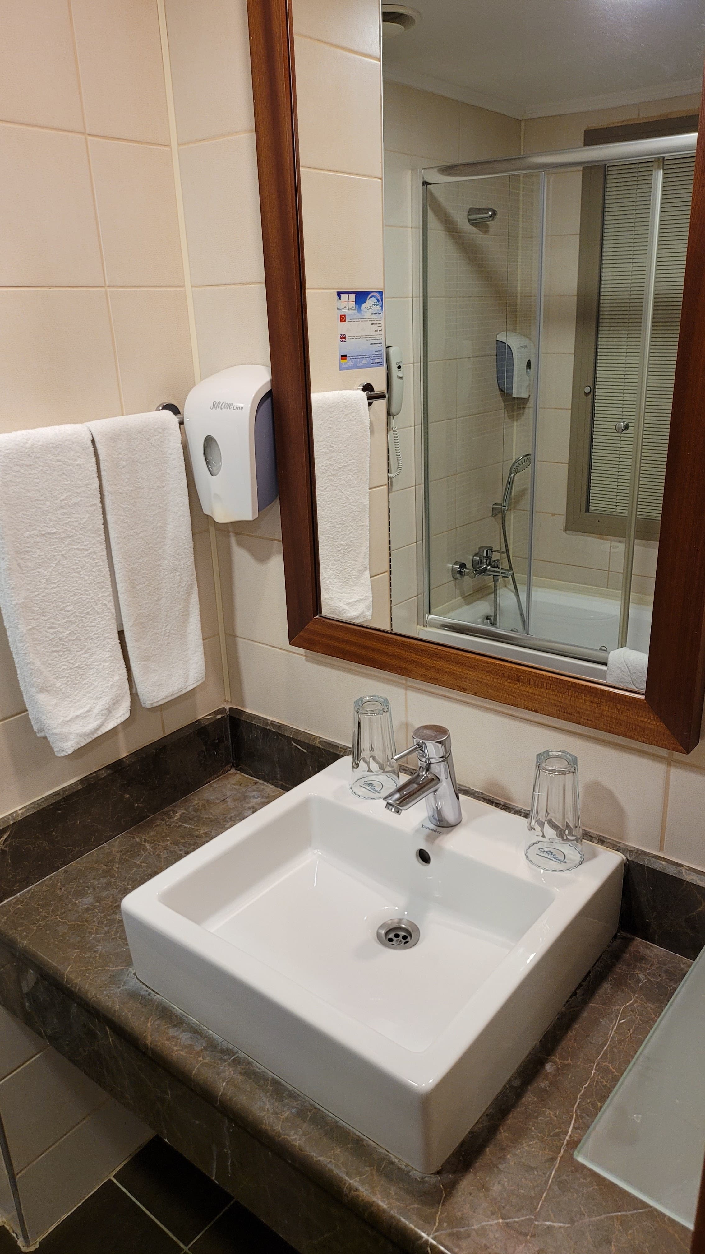 Alba Royal Hotel - photo 4