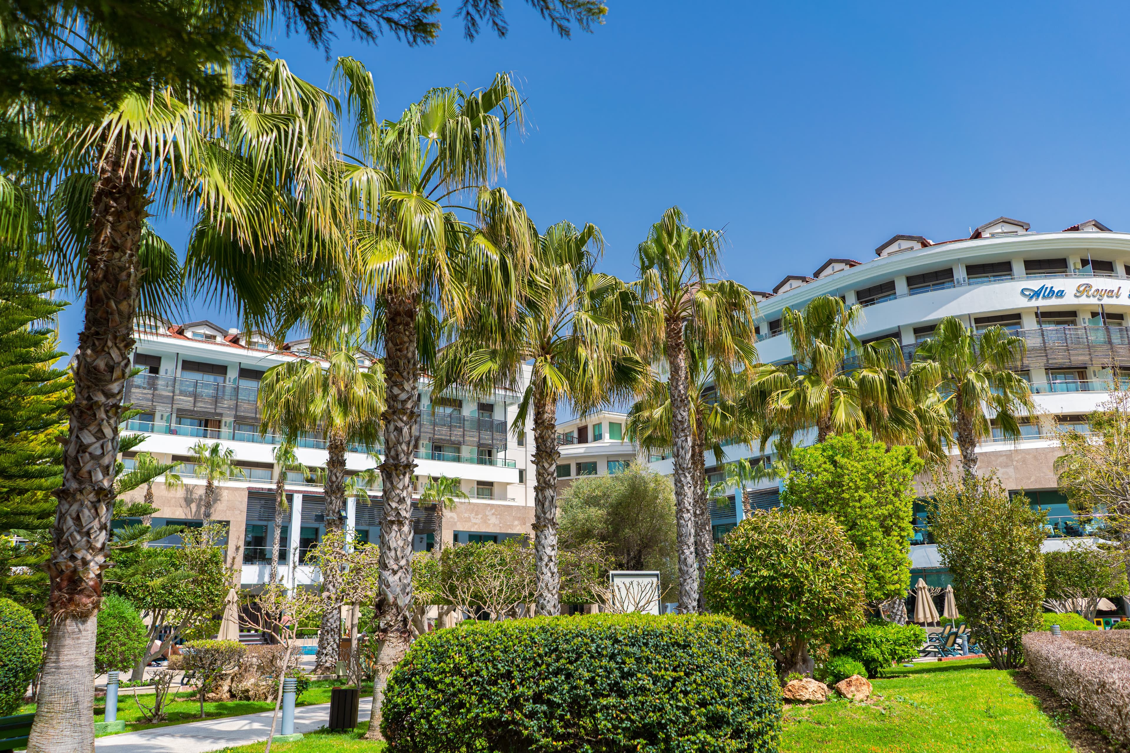 Alba Royal Hotel - photo 6