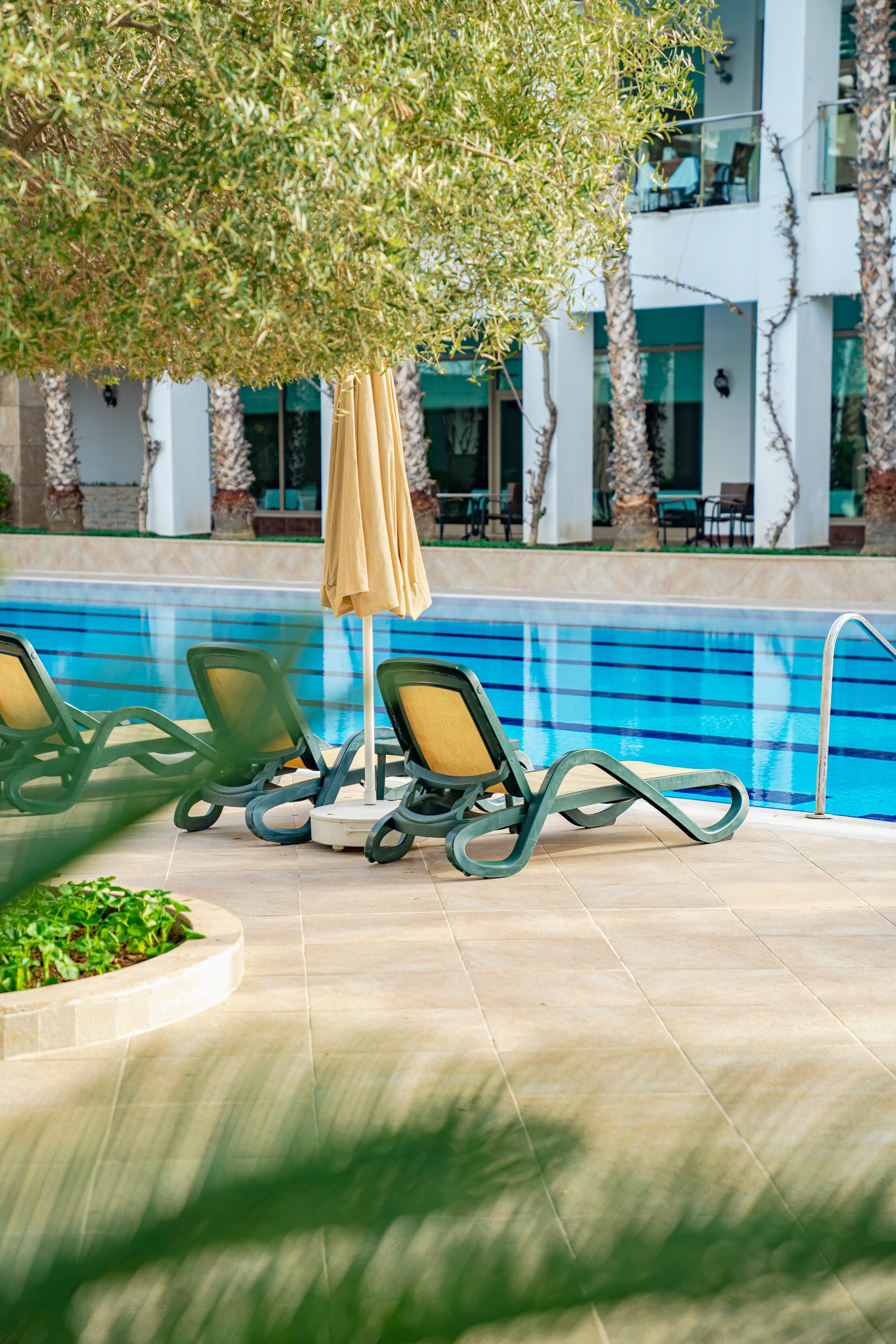 Alba Royal Hotel - photo 10