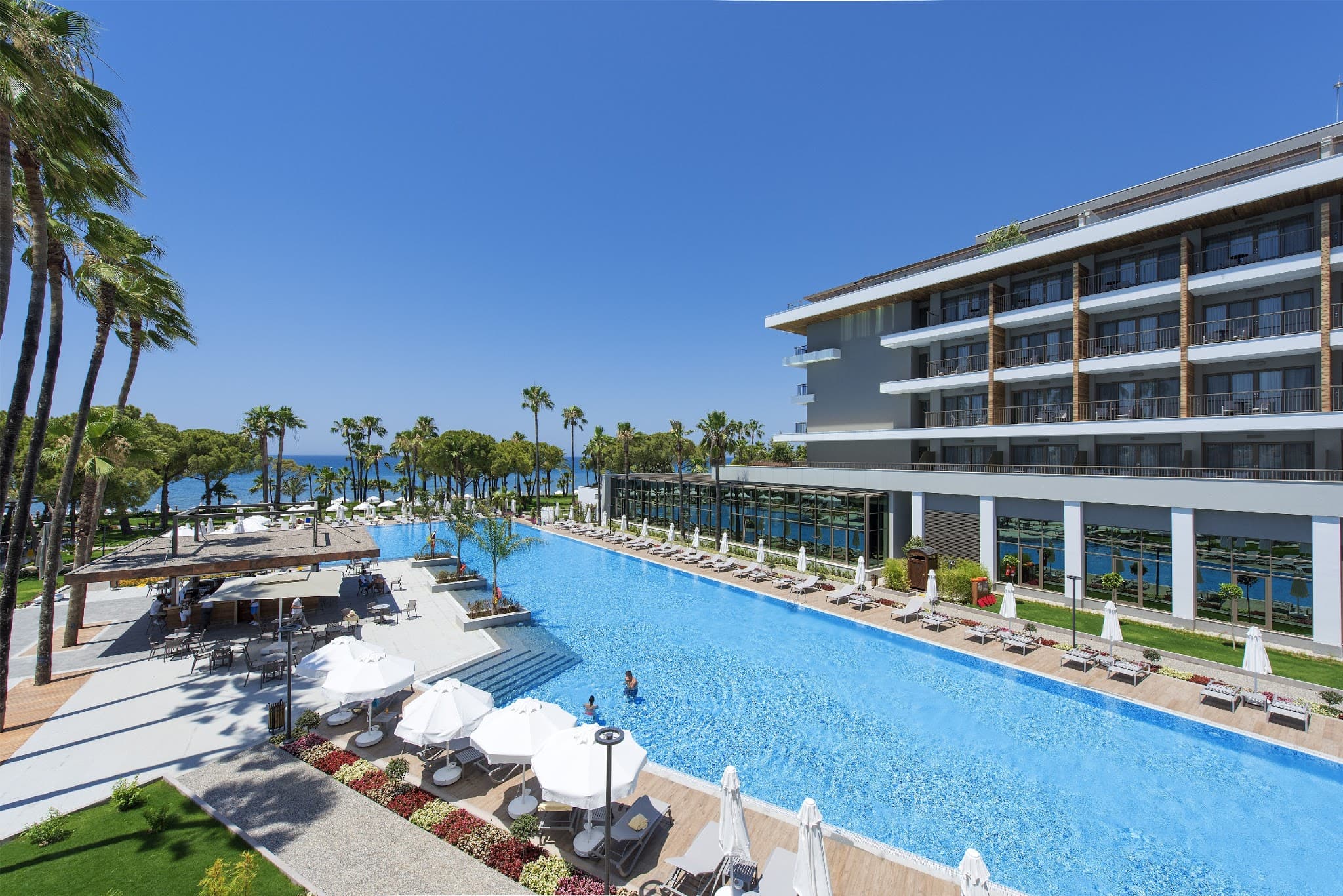 Acanthus Cennet Barut Collection - photo 6