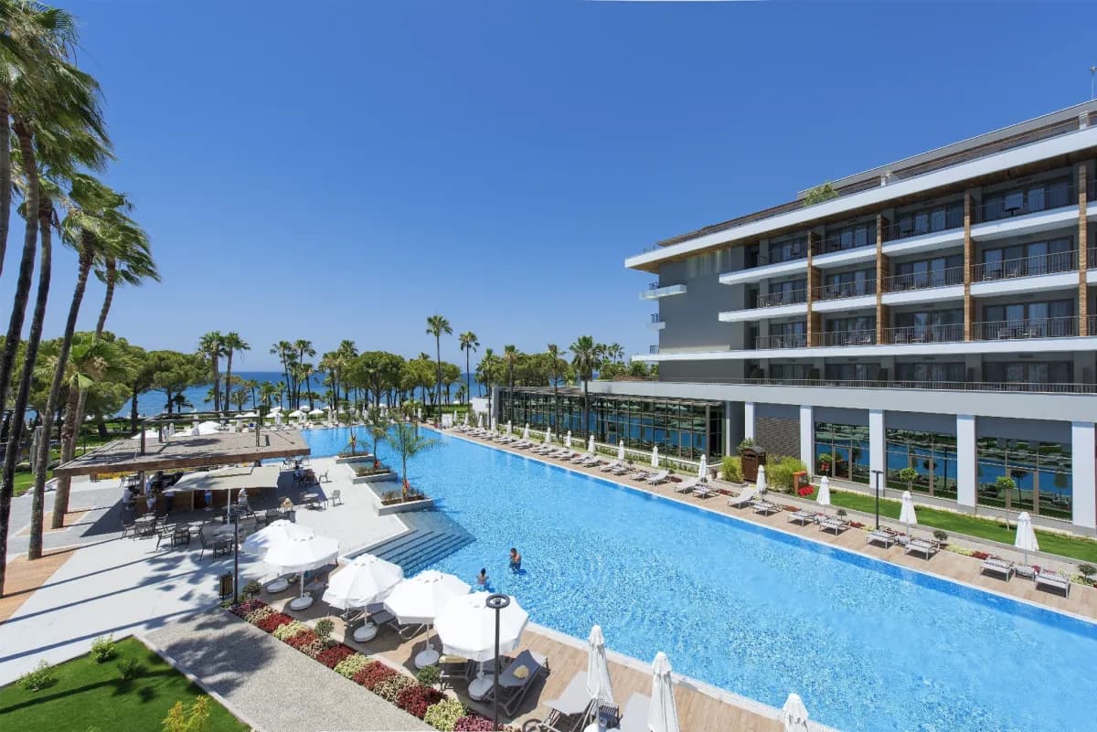 Acanthus Cennet Barut Collection - photo 6