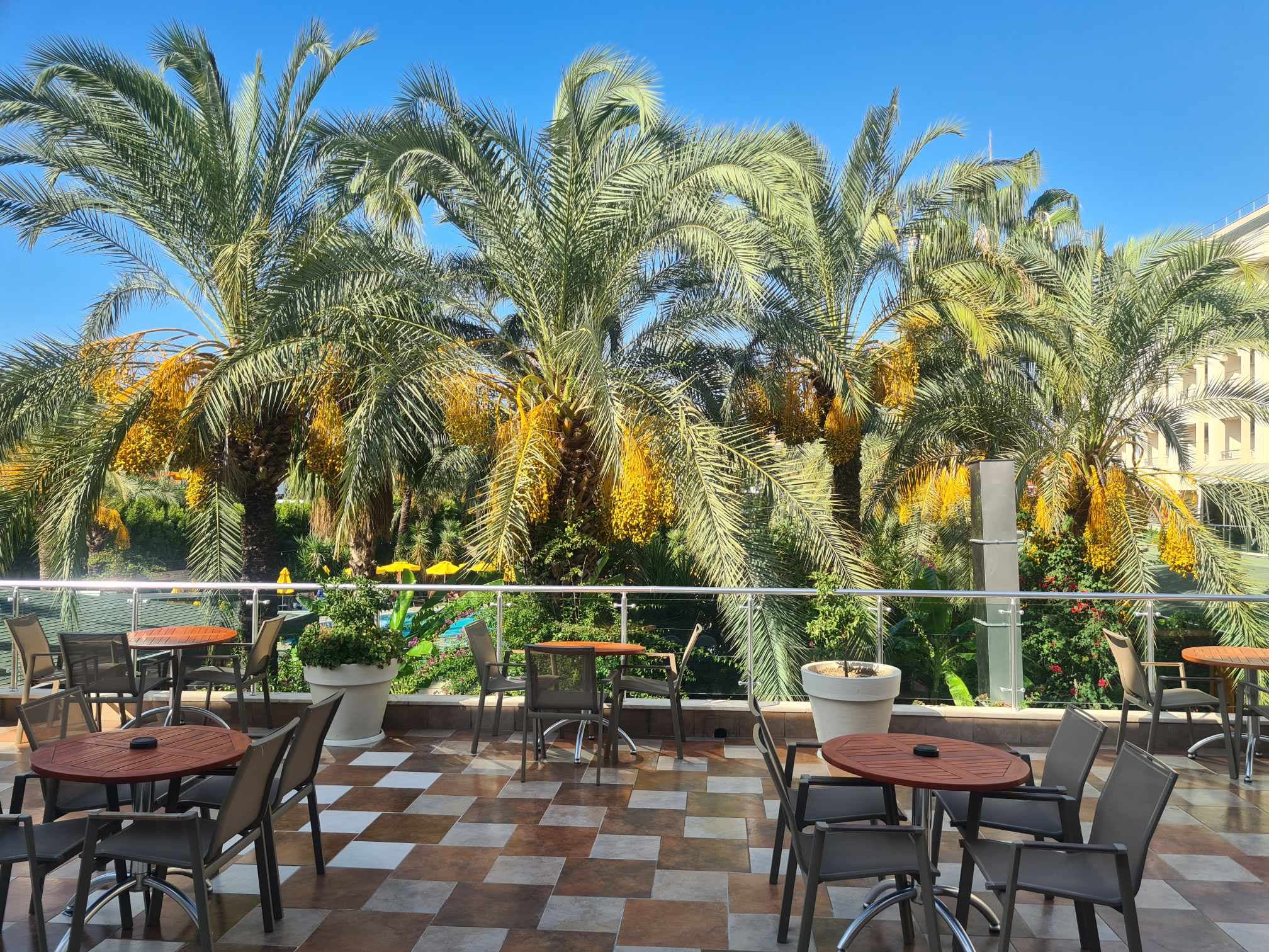 Calimera Hane Garden Hotel - photo 3