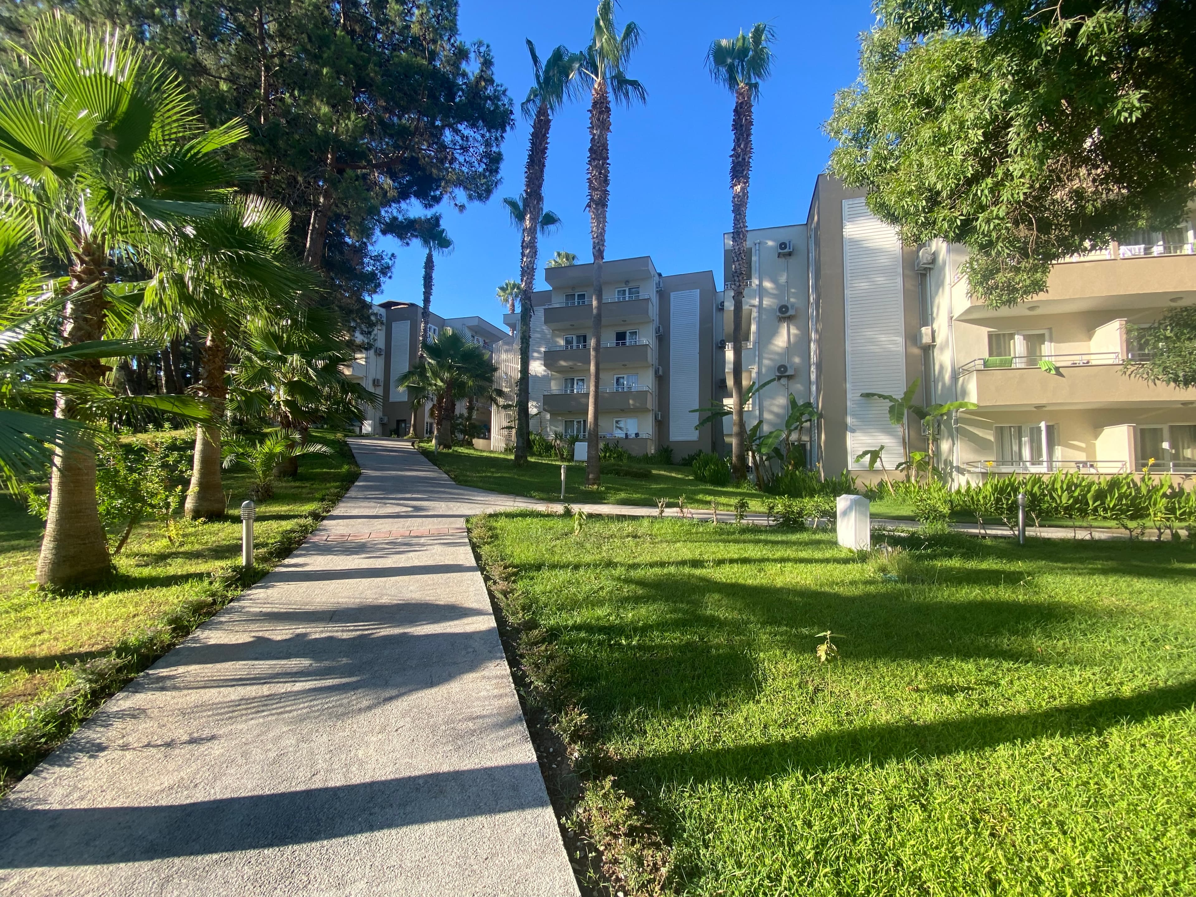Club Hotel Sidelya - photo 8