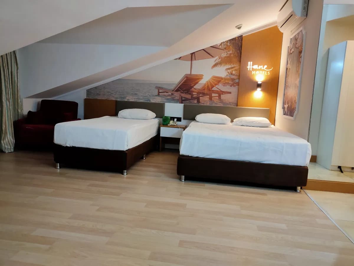 Hane Family Resort Hotel - photo 2