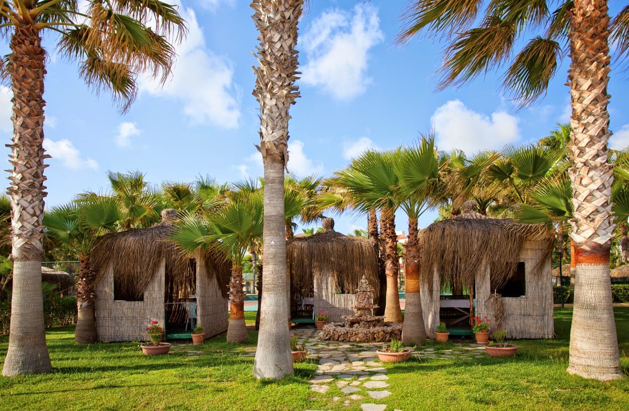 Miramare Queen Hotel - photo 6