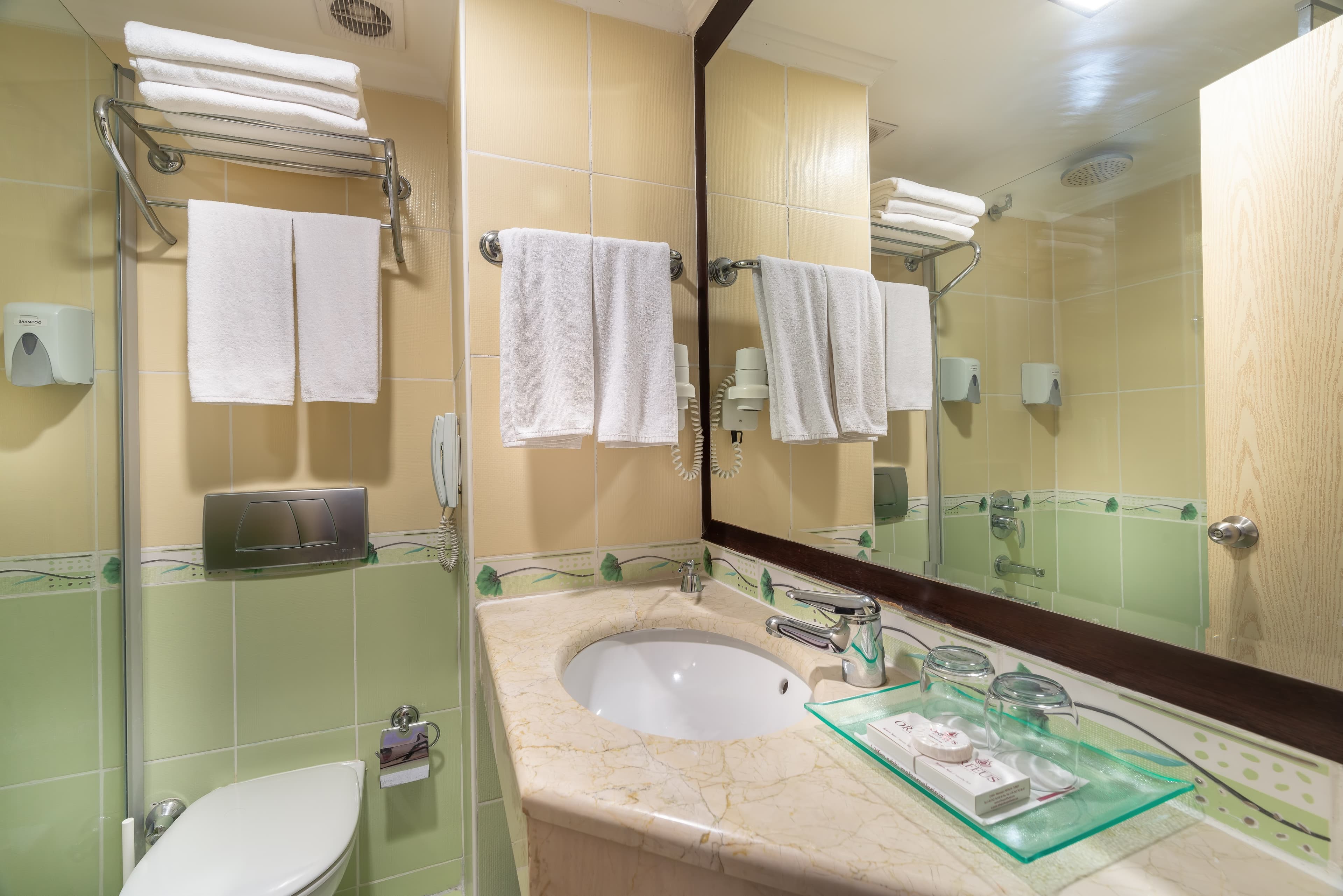 Orfeus Queen Hotel - photo 4
