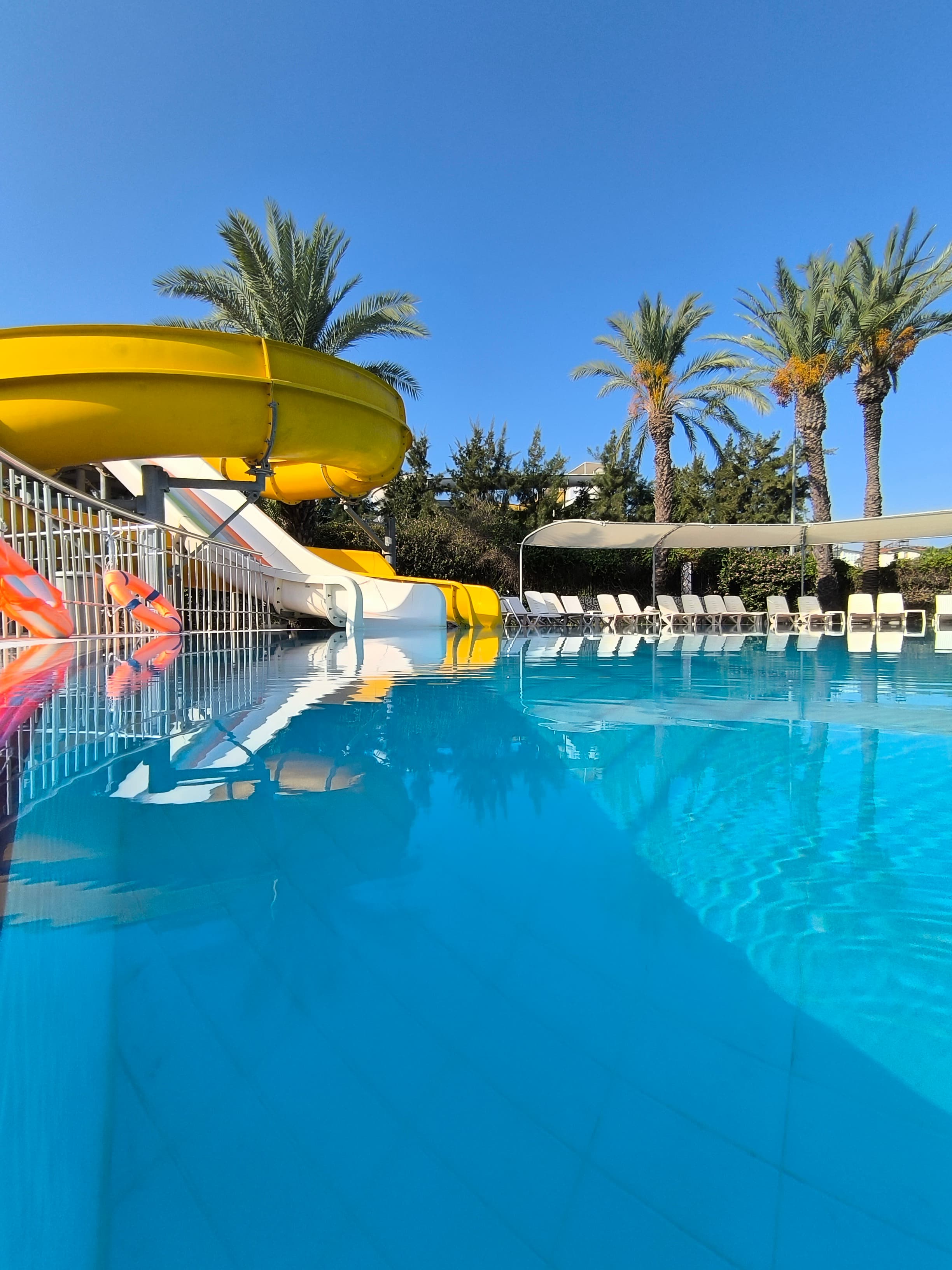 Palm Dor Hotel - photo 5