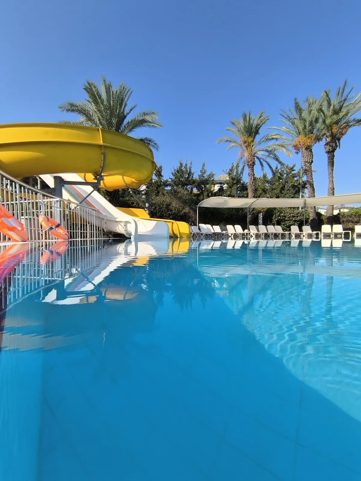 Palm Dor Hotel - photo 5