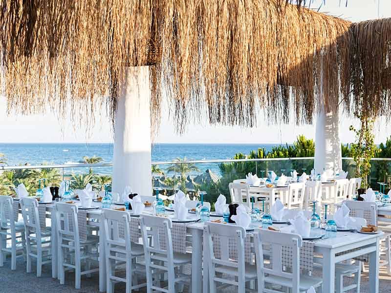 Paloma Oceana - photo 7