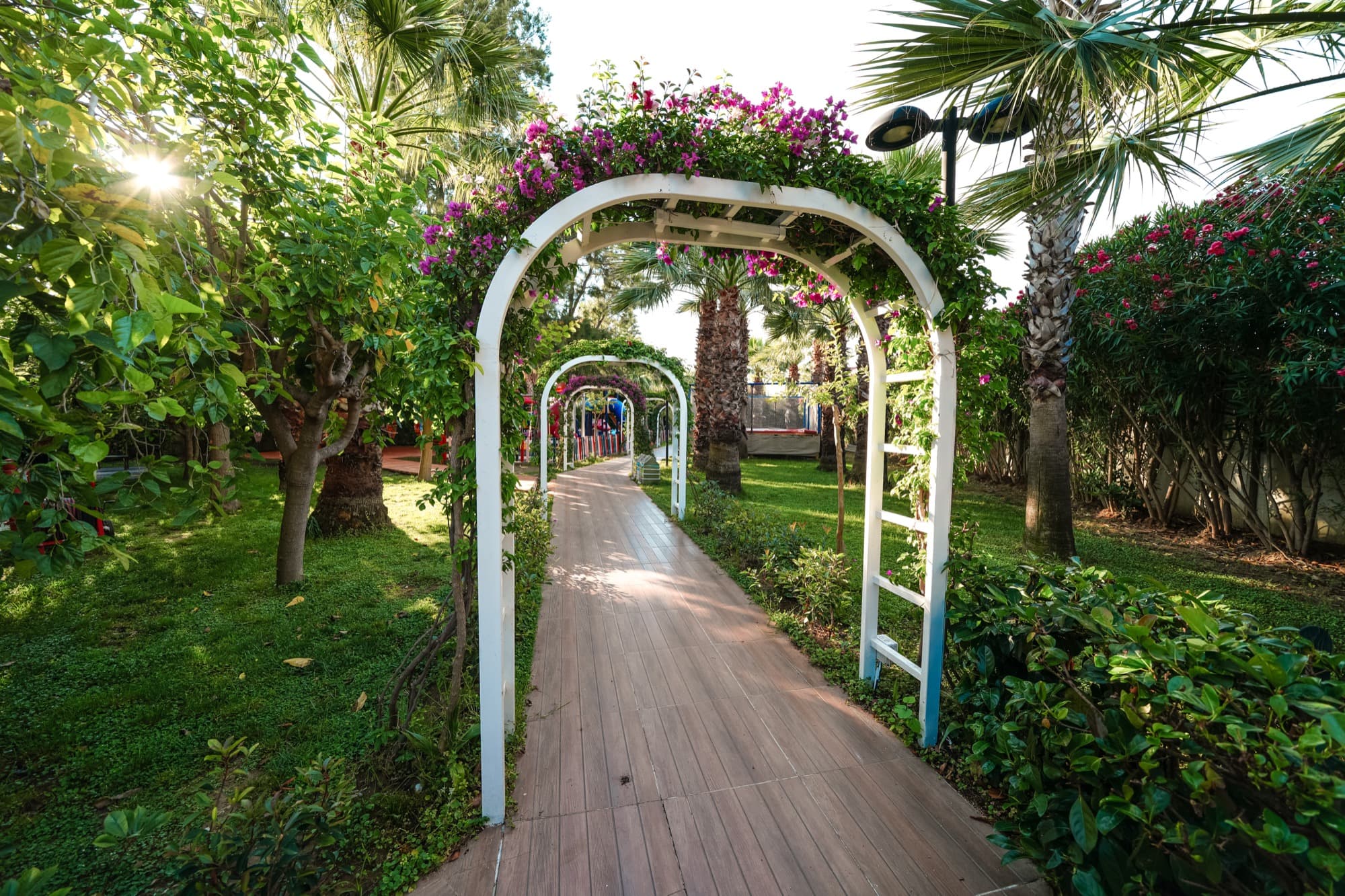 Calimera Hane Garden