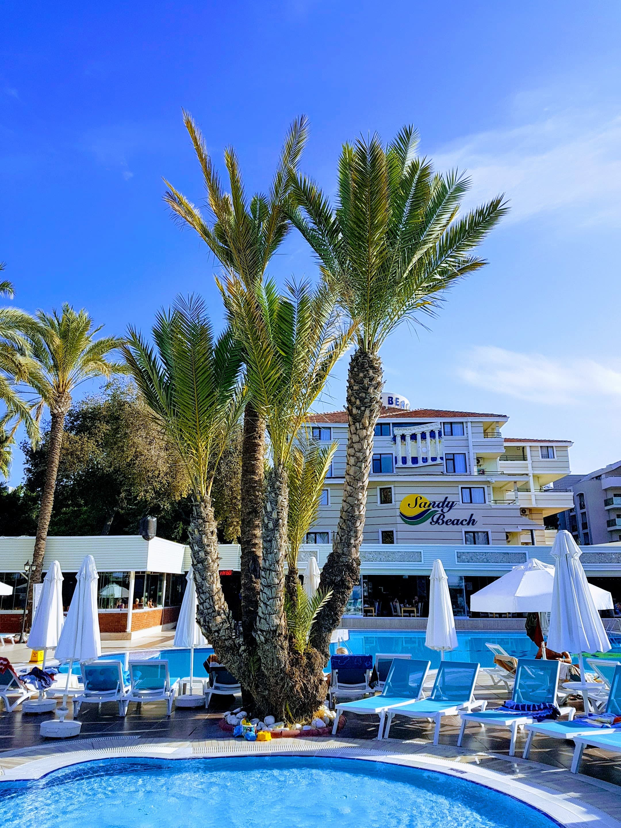 Sandy Beach Hotel - photo 10