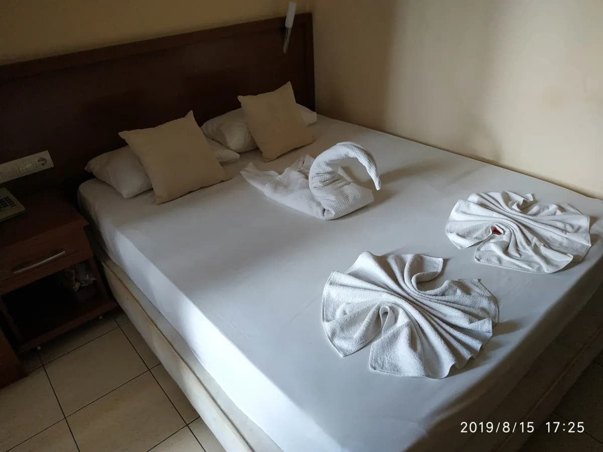 Selenium Hotel - photo 2
