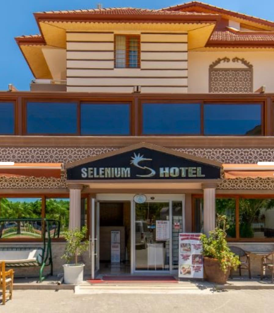Selenium Hotel - photo 7