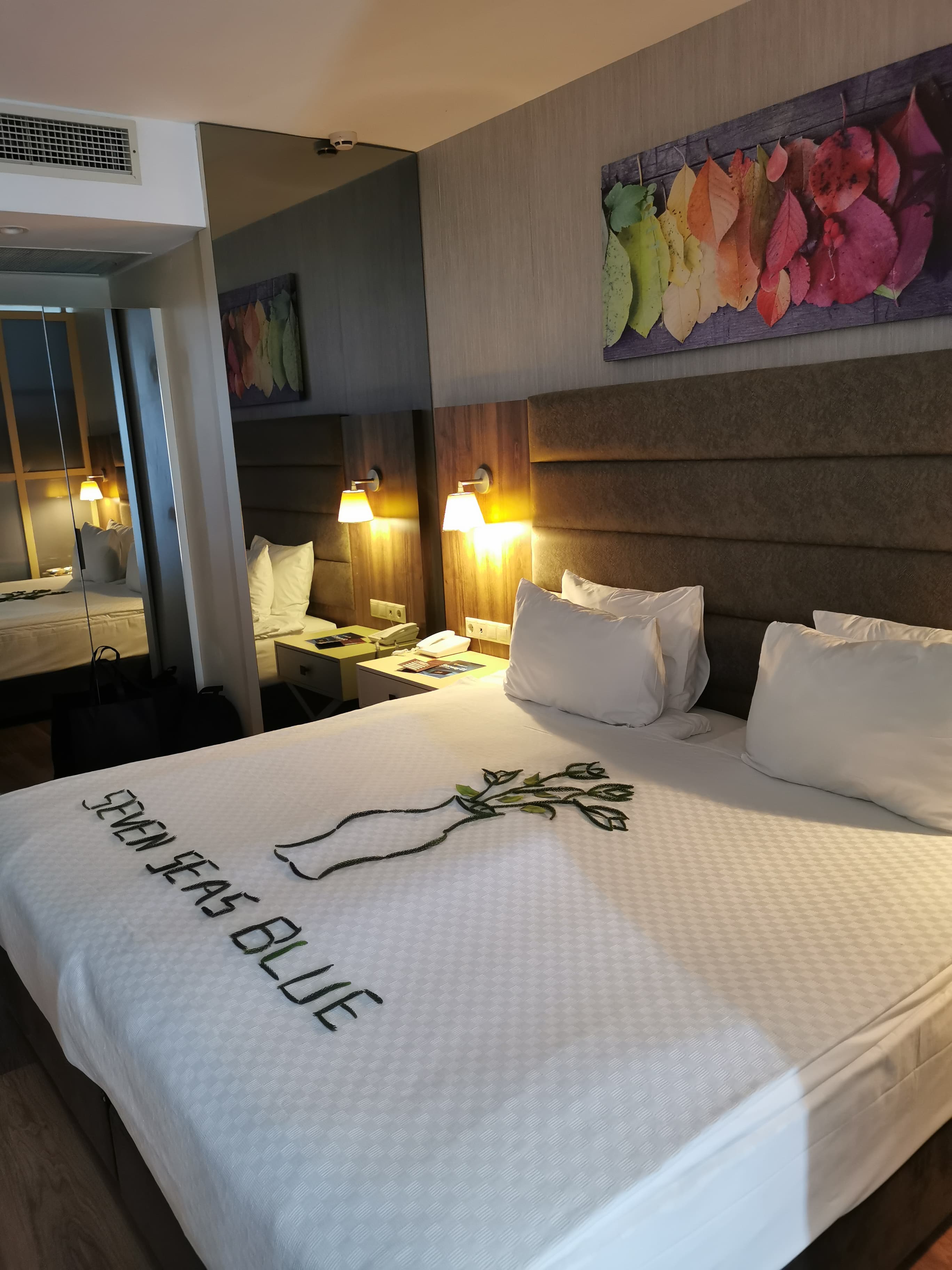 Monachus Family Resort Sorgun - photo 2
