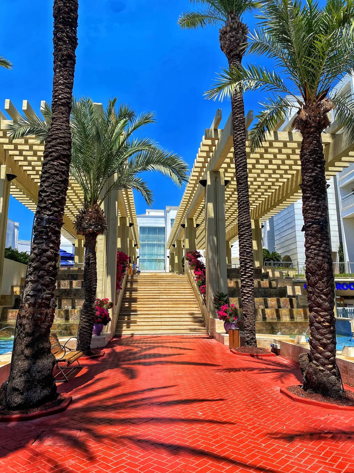Monachus Family Resort Sorgun - photo 7