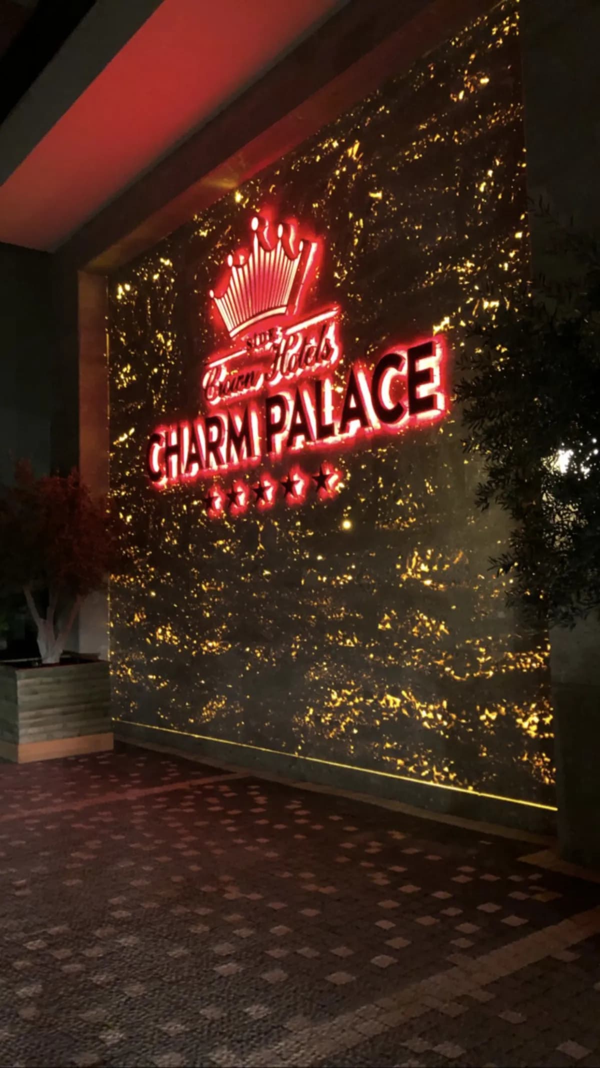 Side Crown Charm Palace - photo 4