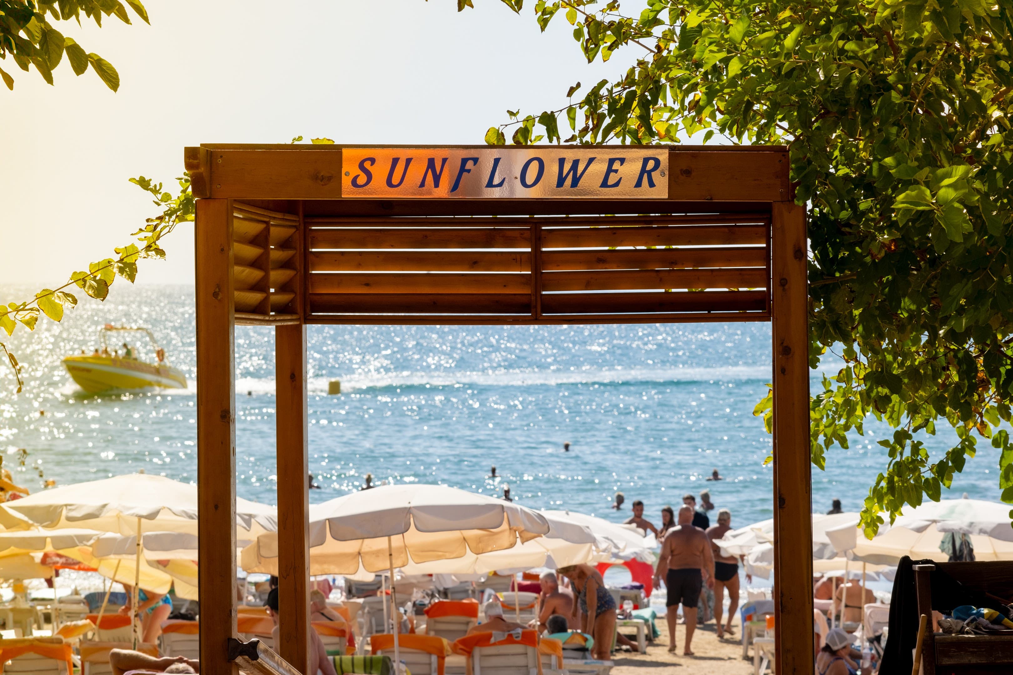 Sun Flower Apart Hotel - photo 8