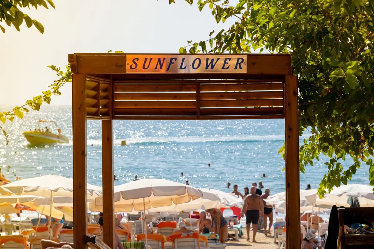 Sun Flower Apart Hotel - photo 8