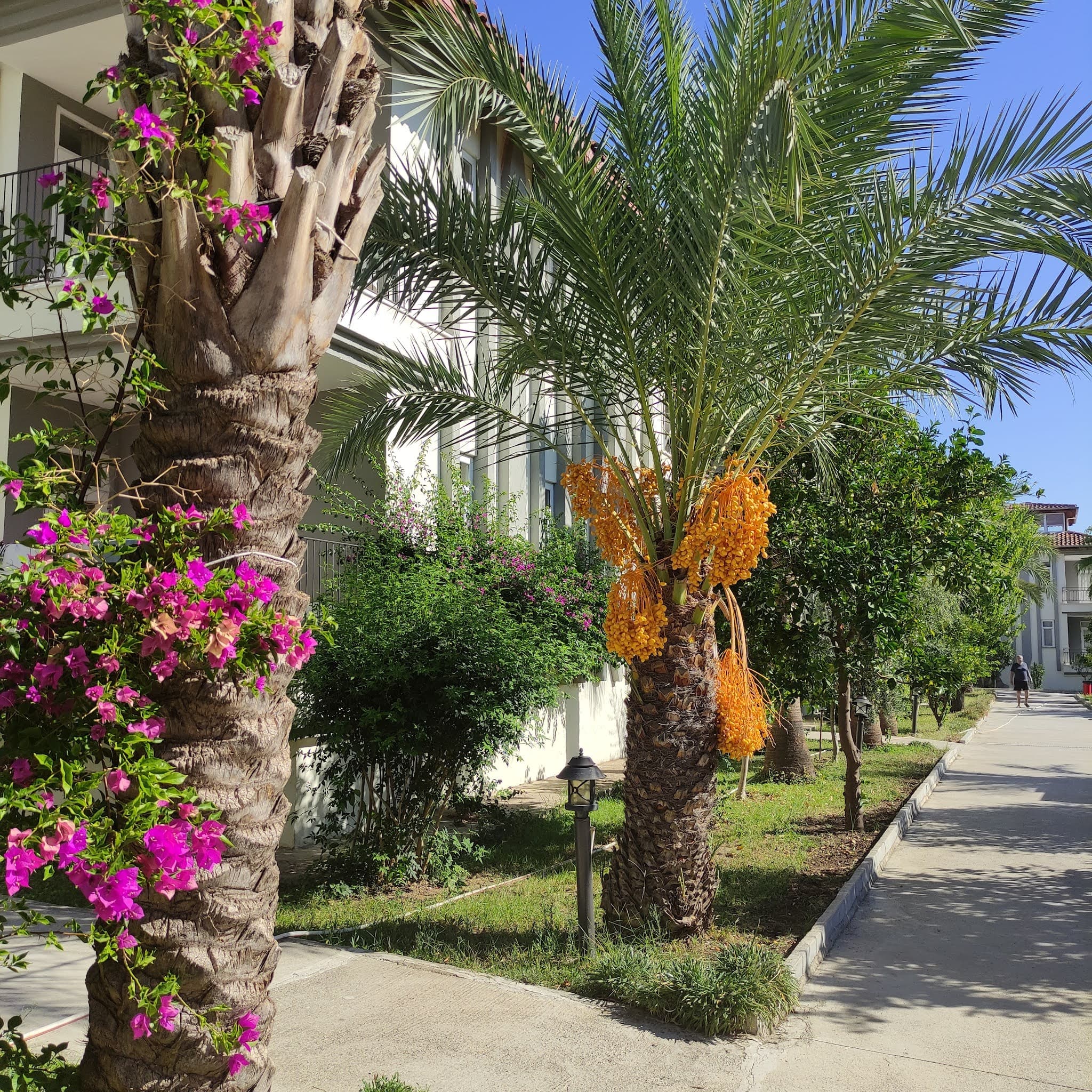 Sunlight Garden Otel - photo 6