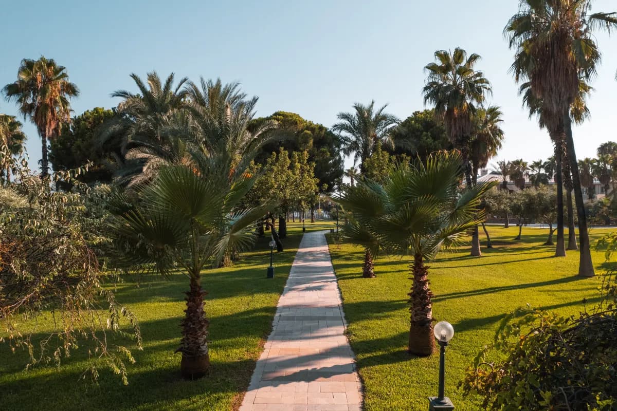 Sural Hotel - photo 5