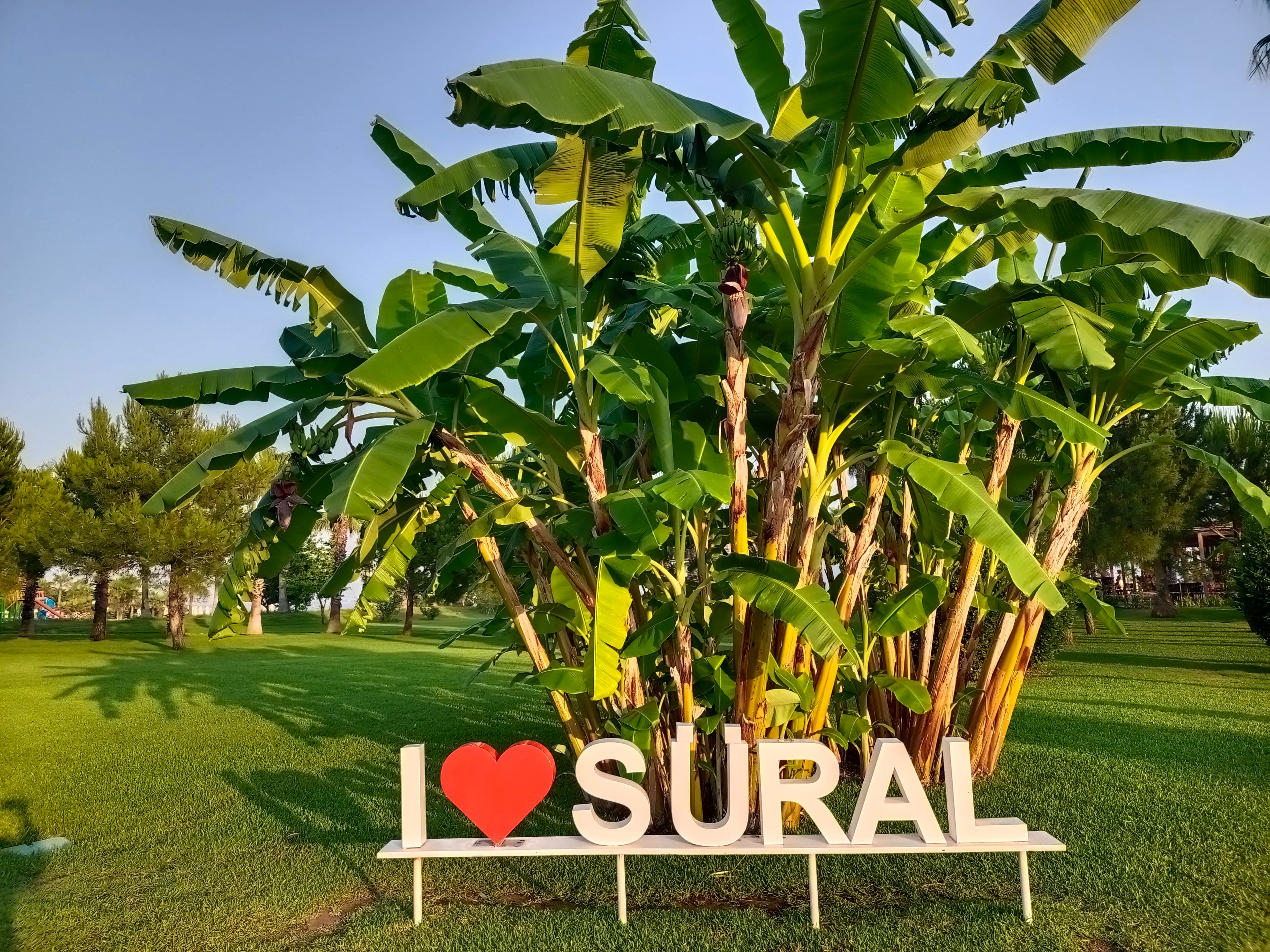 Sural Resort Hotel - photo 10