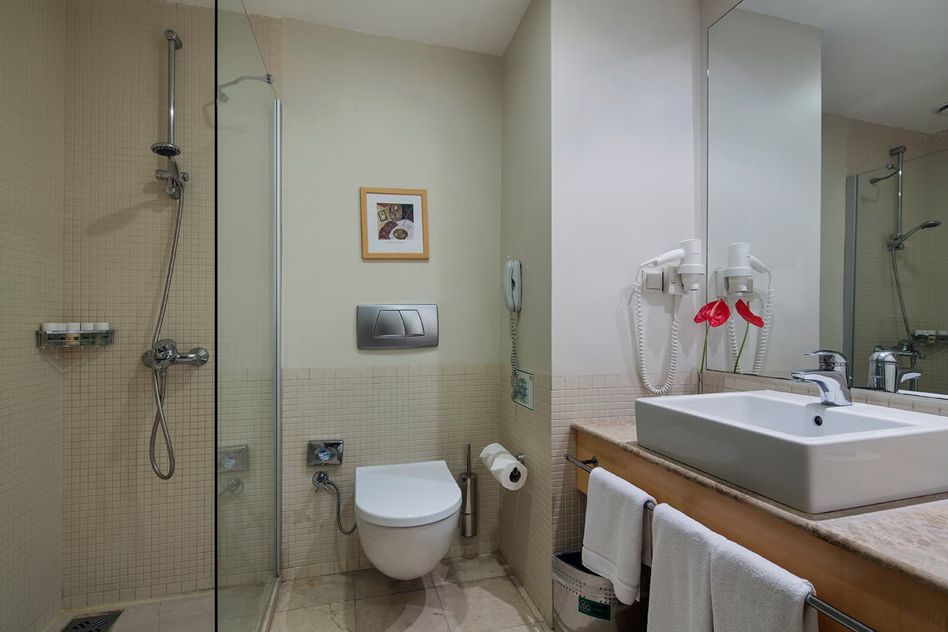 Xanthe Resort - photo 5