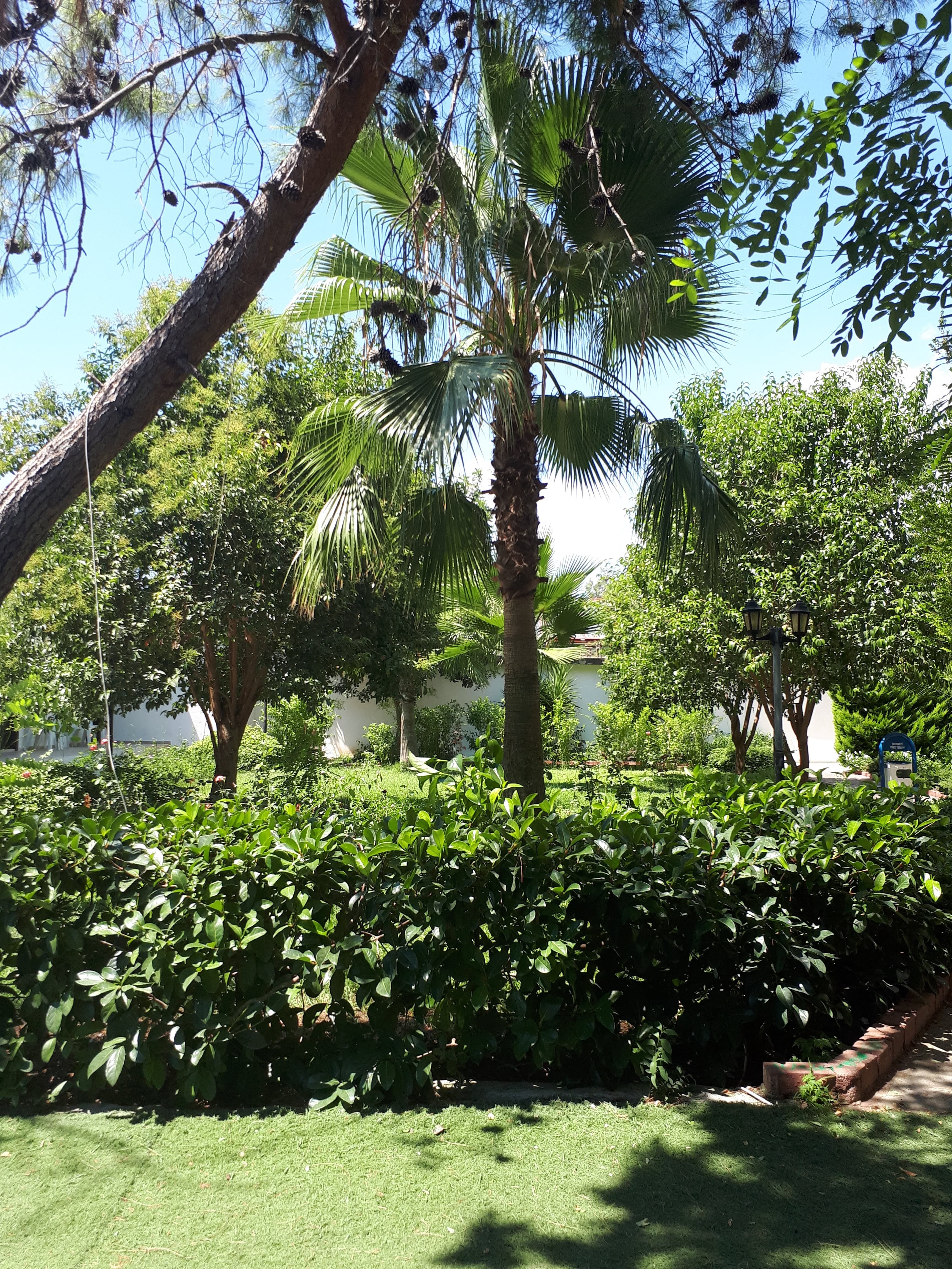 Maya Golf Hotel - photo 10