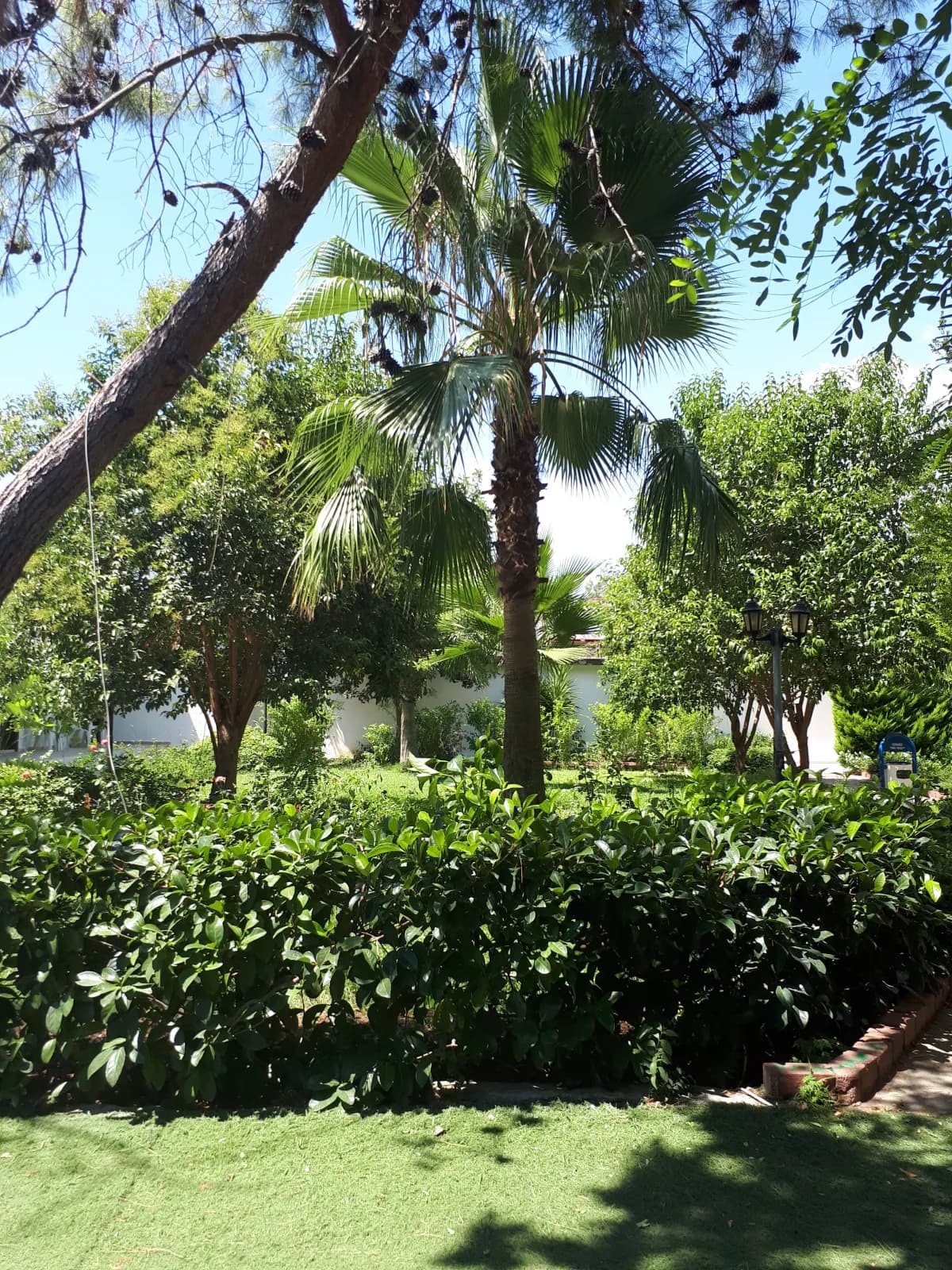 Maya Golf Hotel - photo 10