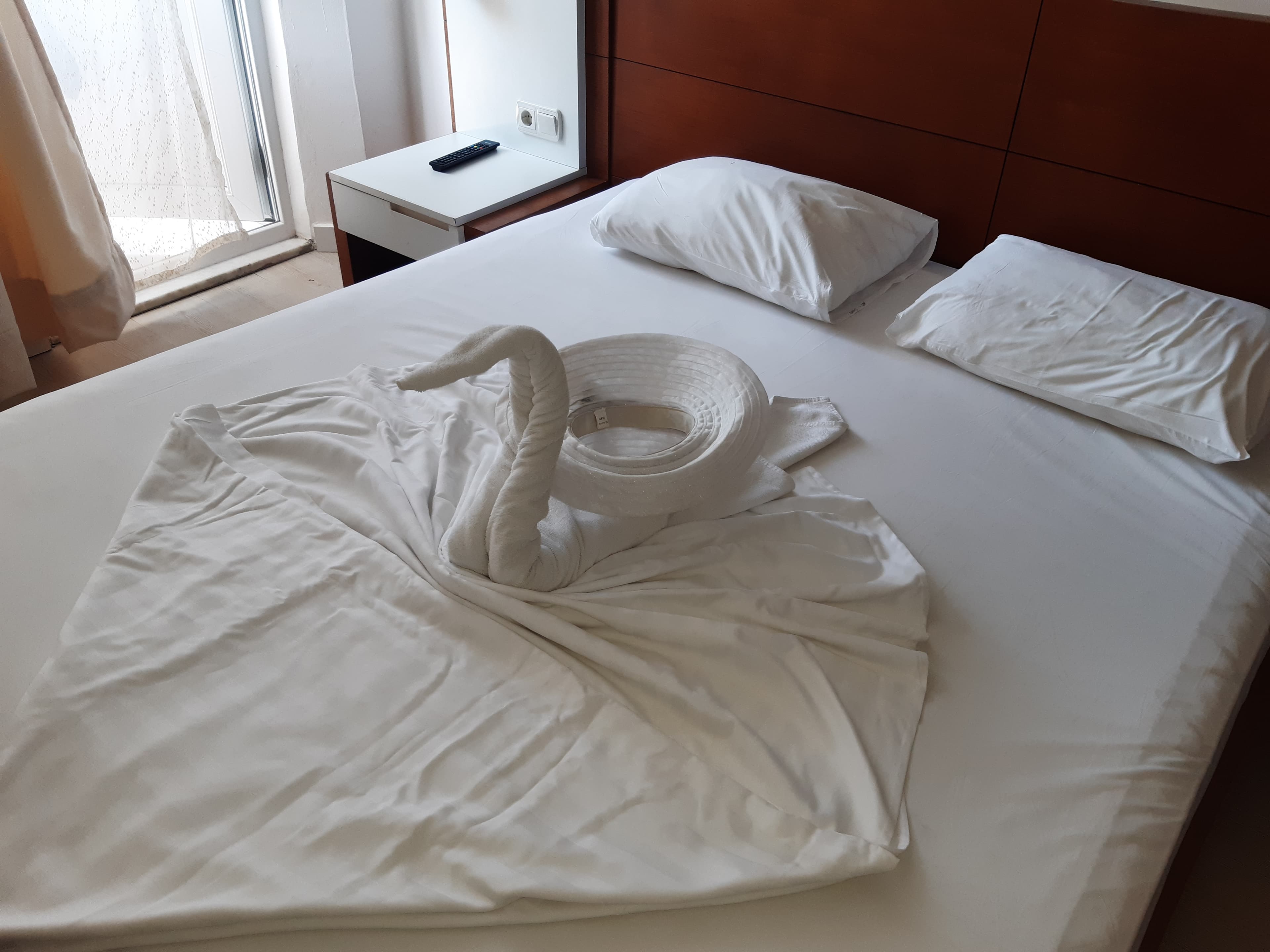 Serra Park Hotel - photo 2