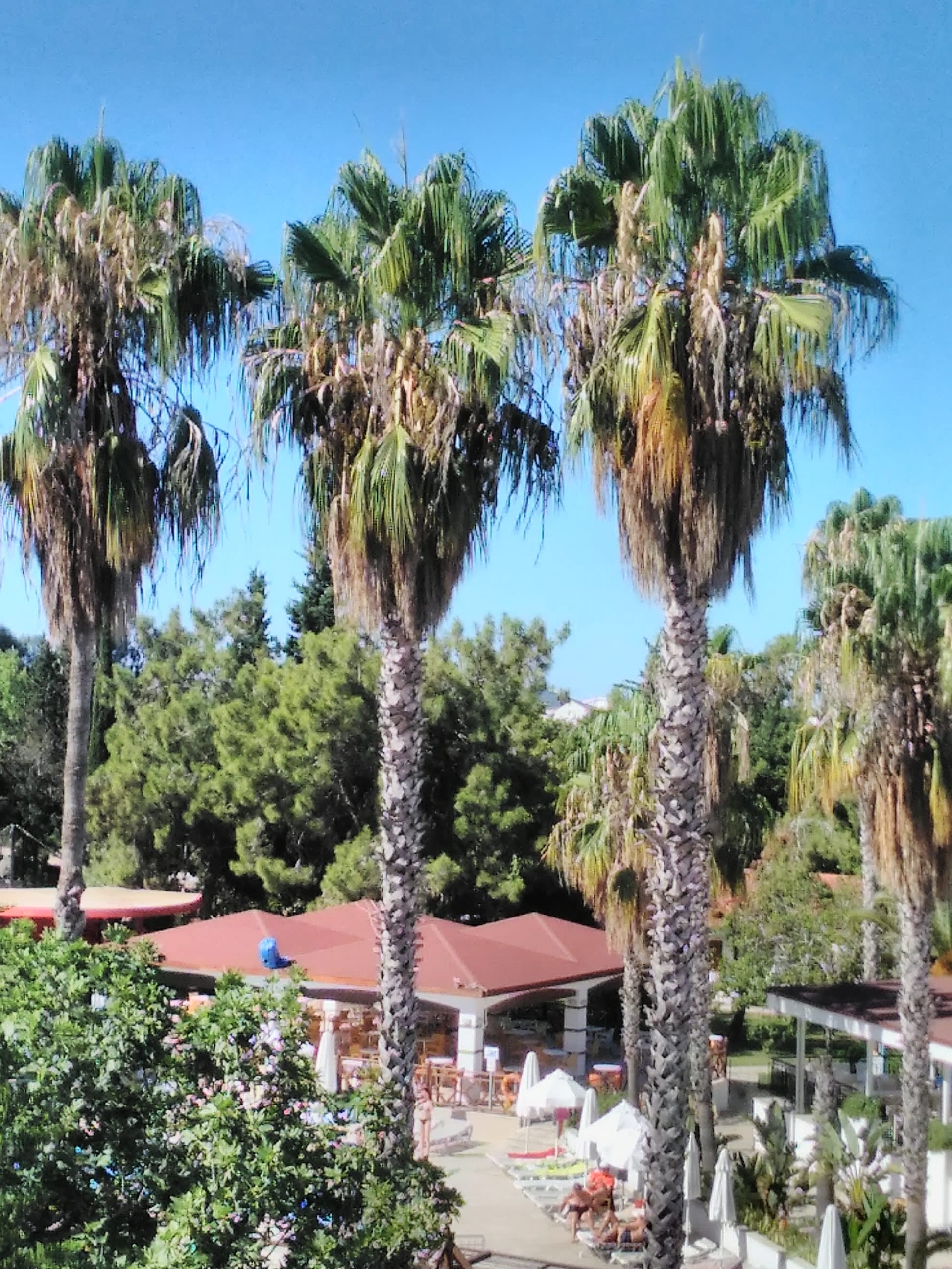 Serra Park Hotel - photo 6