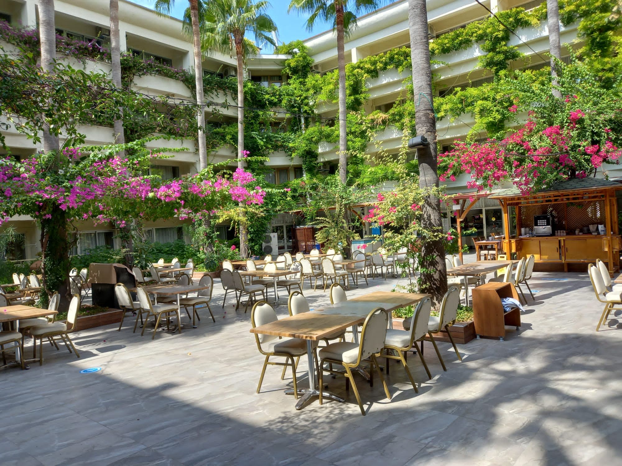 Venus Hotel - photo 6