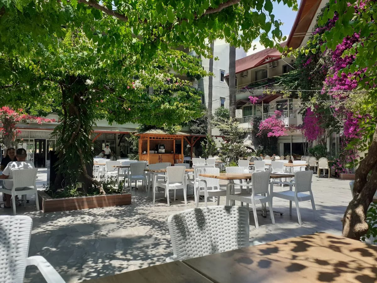 Venus Hotel - photo 8