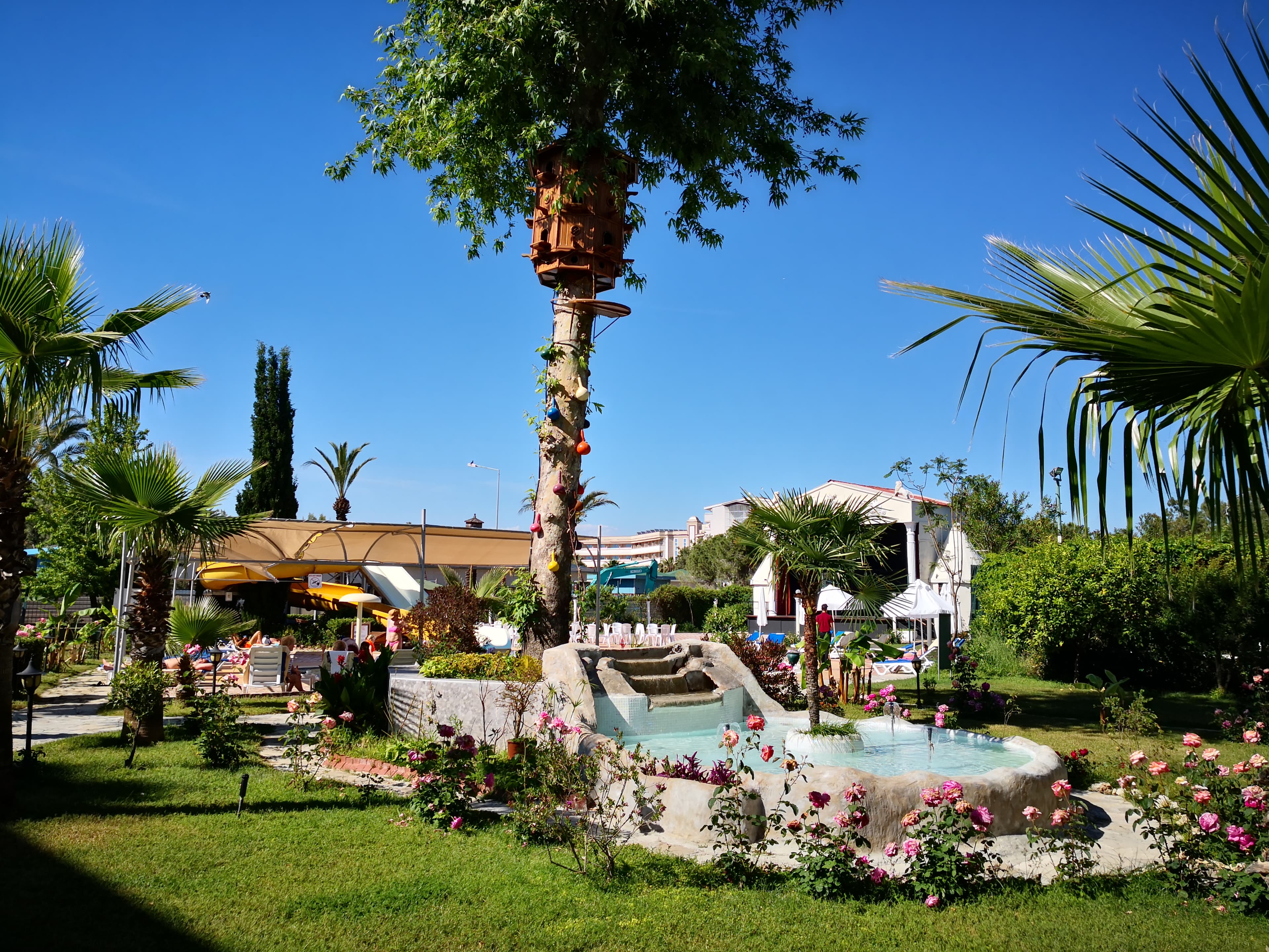 Venus Hotel - photo 10