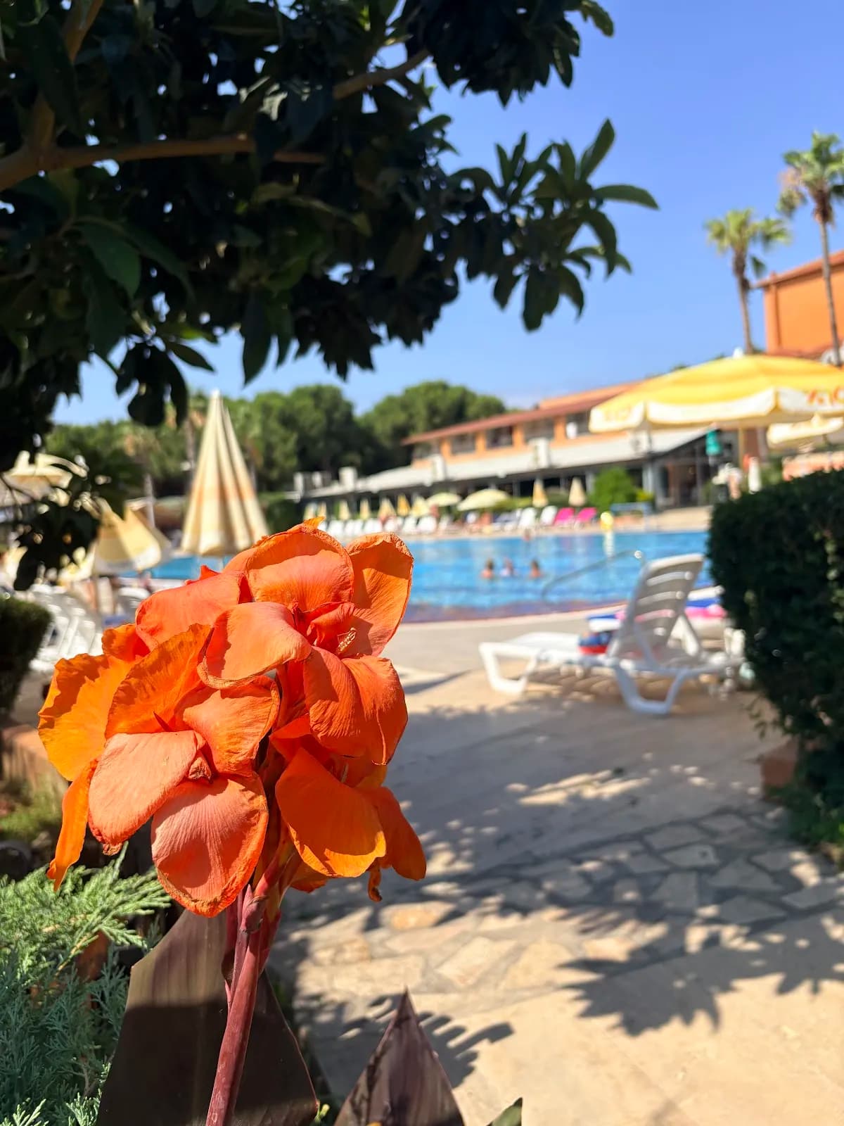 Club Turtaş Beach Hotel - photo 5