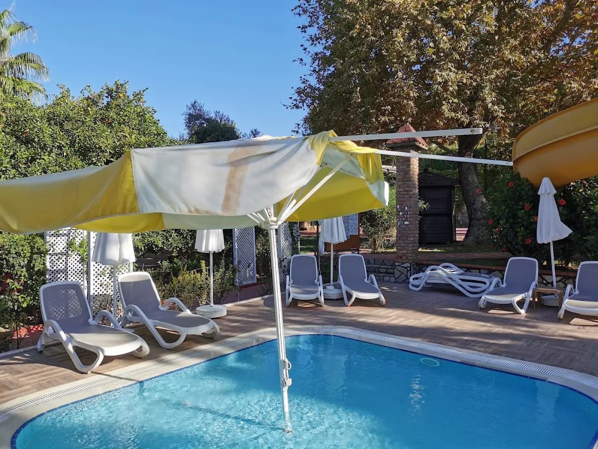Club Dizalya Hotel - photo 4